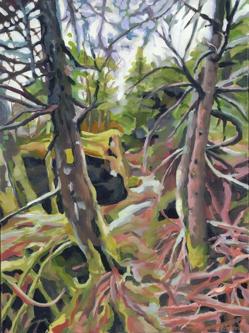 First Canyon