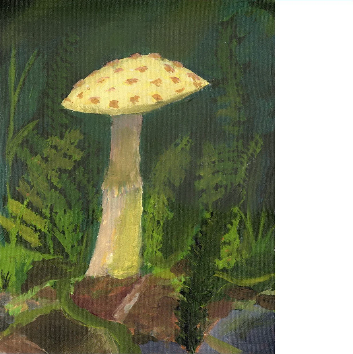 forest mush square.jpg