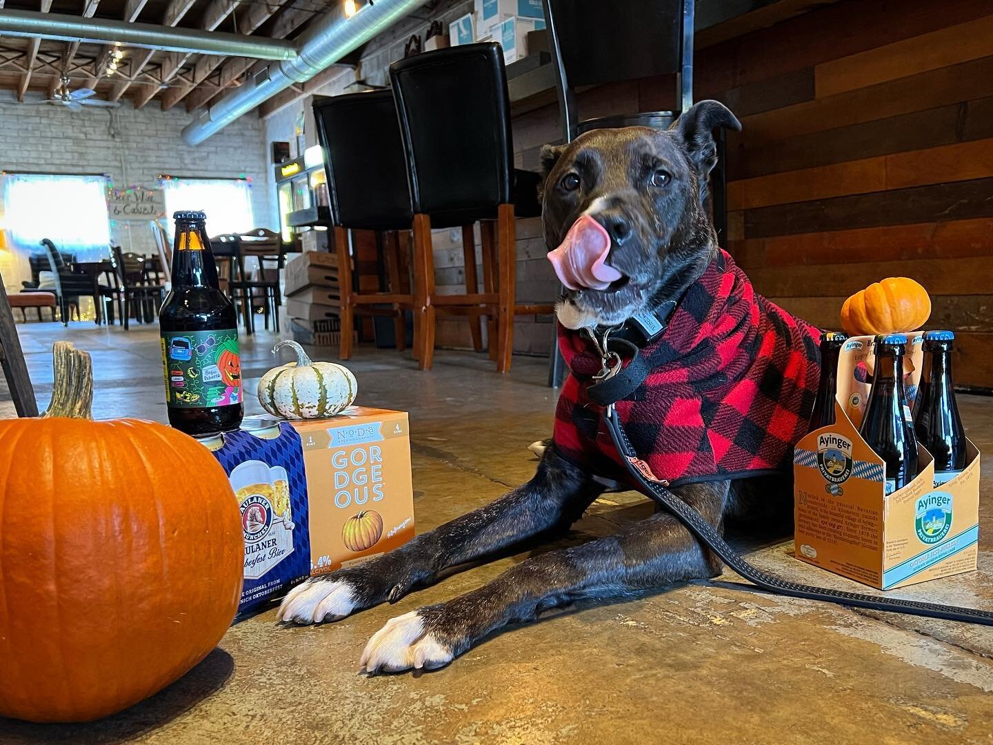 Fall weather, flannel, and the last of our pumpkin ales and M&auml;rzen 🍂