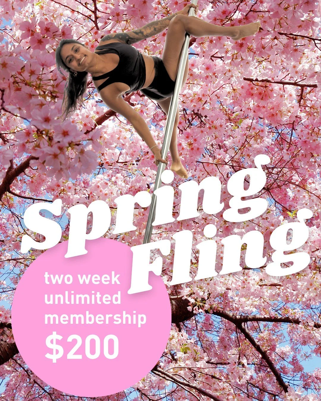 Spring Fling is still happening! 🌸 Through the end of May, bring some fresh inspiration into your pole life with our spring special, a two-week unlimited regional membership 🌸 Swipe for more details. Grab yours at poleanddancestudios.com or on the 