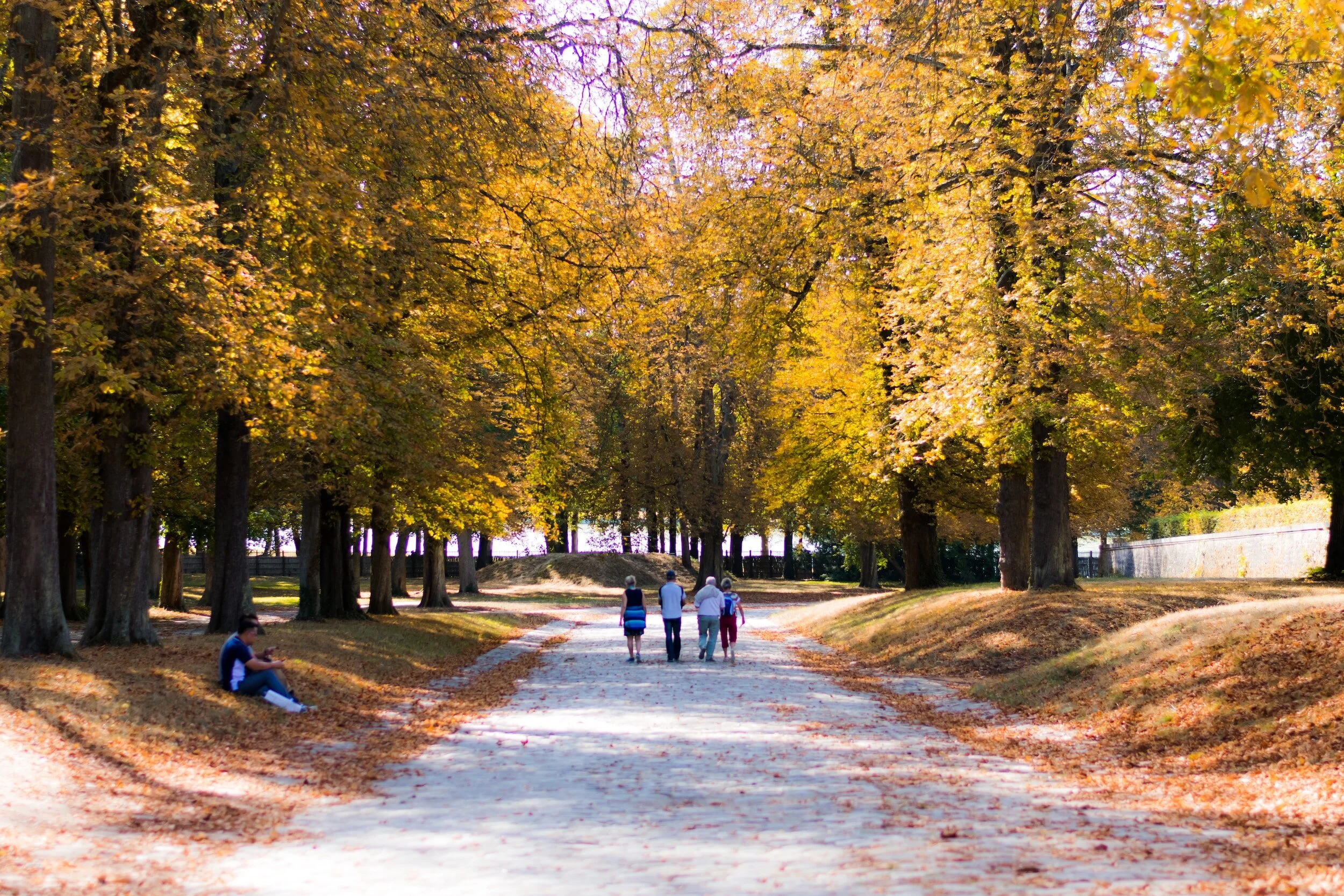 Nature is good for the soul