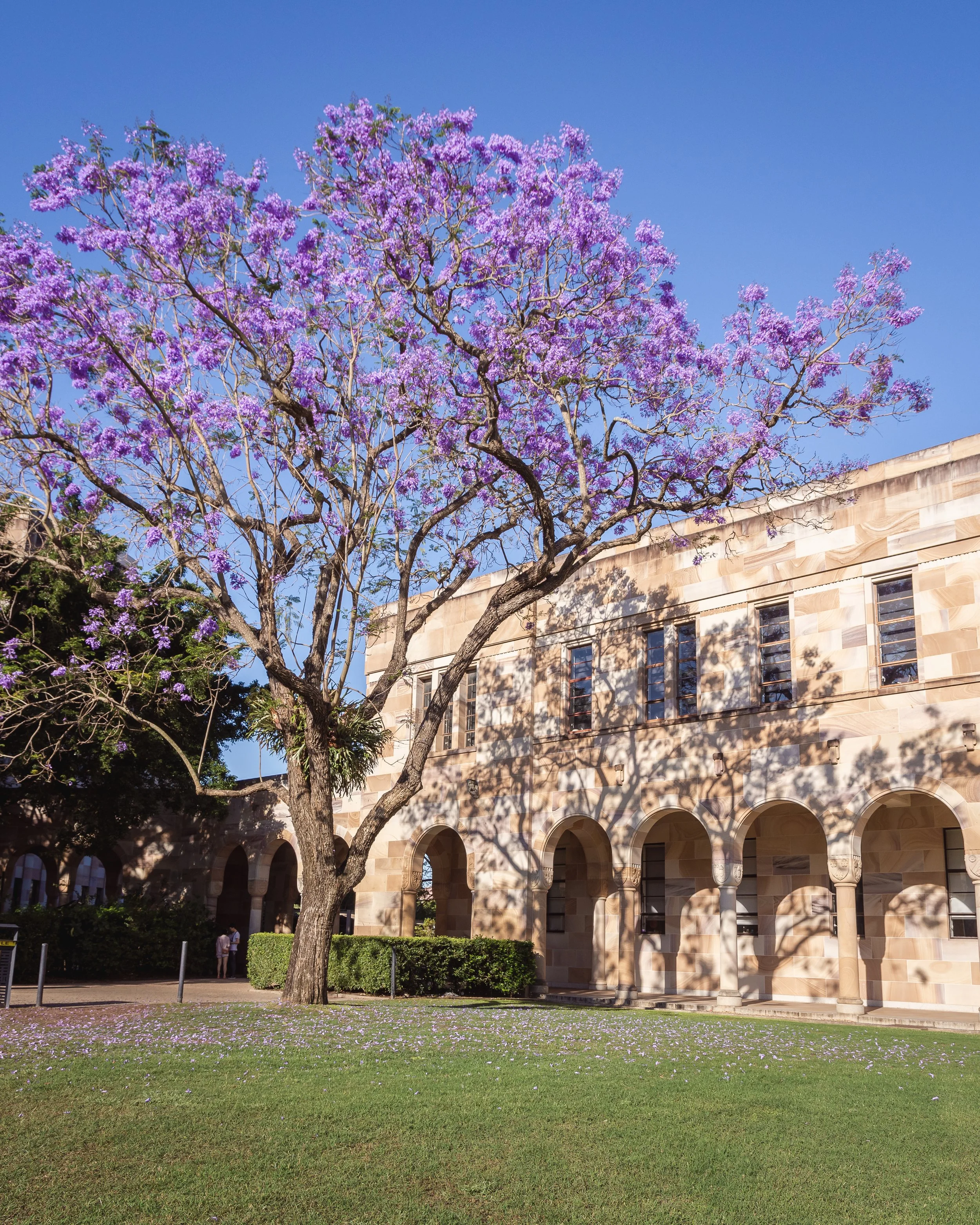 University of Queensland