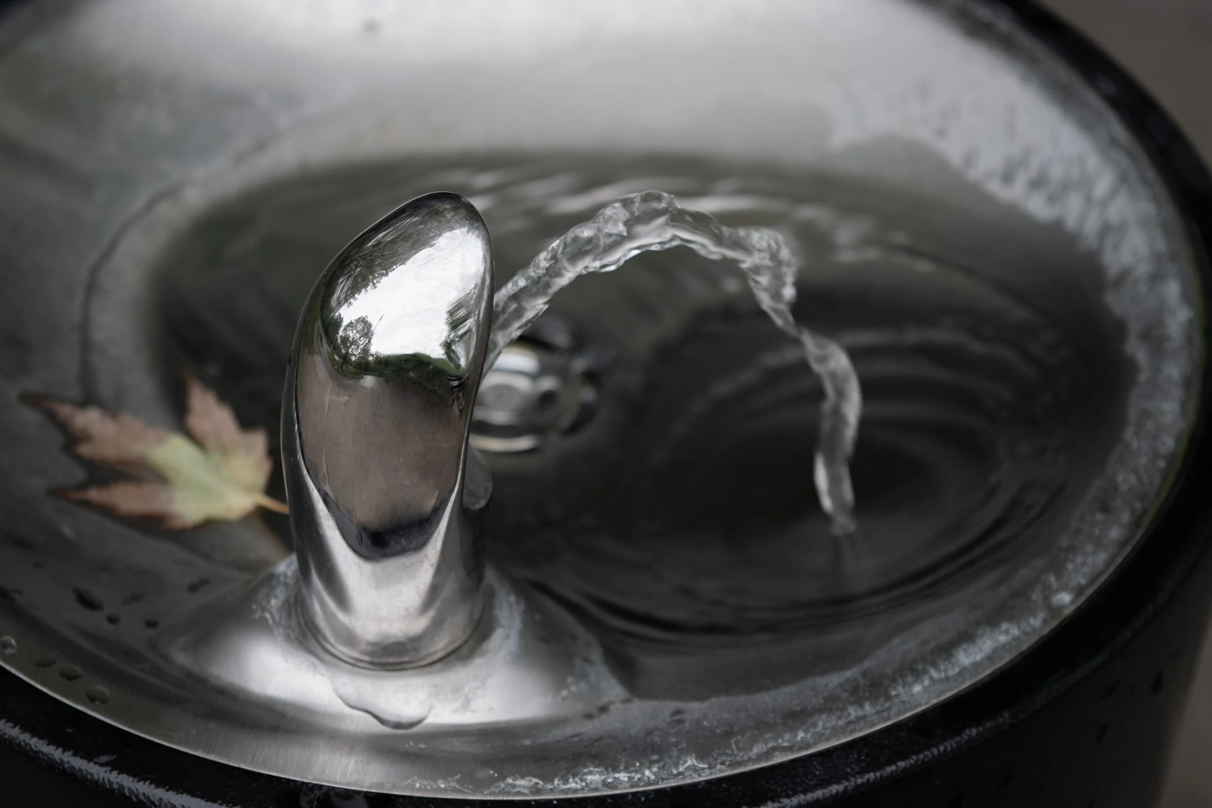 fountain.jpg
