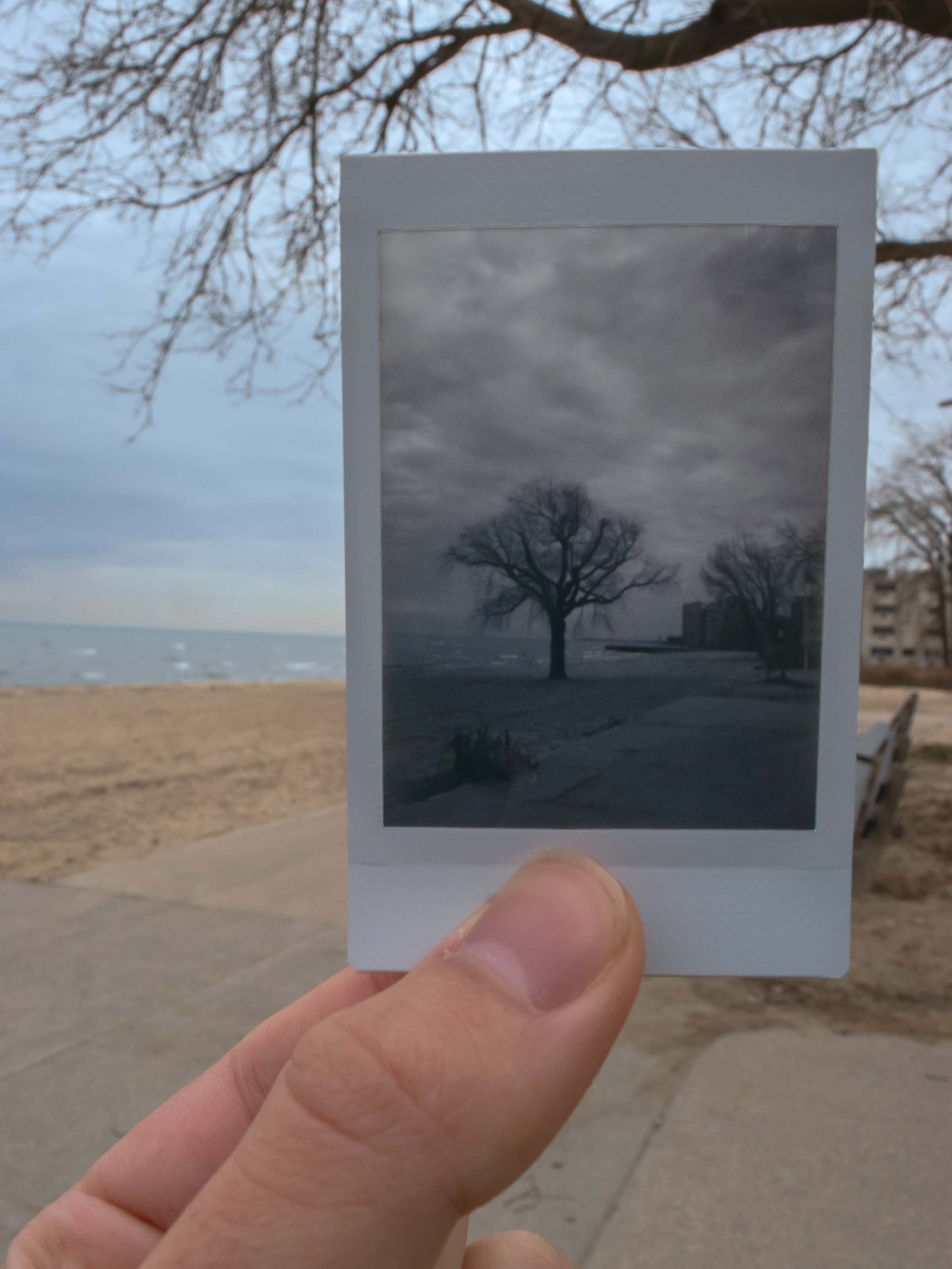 Ibarra_Marco_Final Project_09.jpg