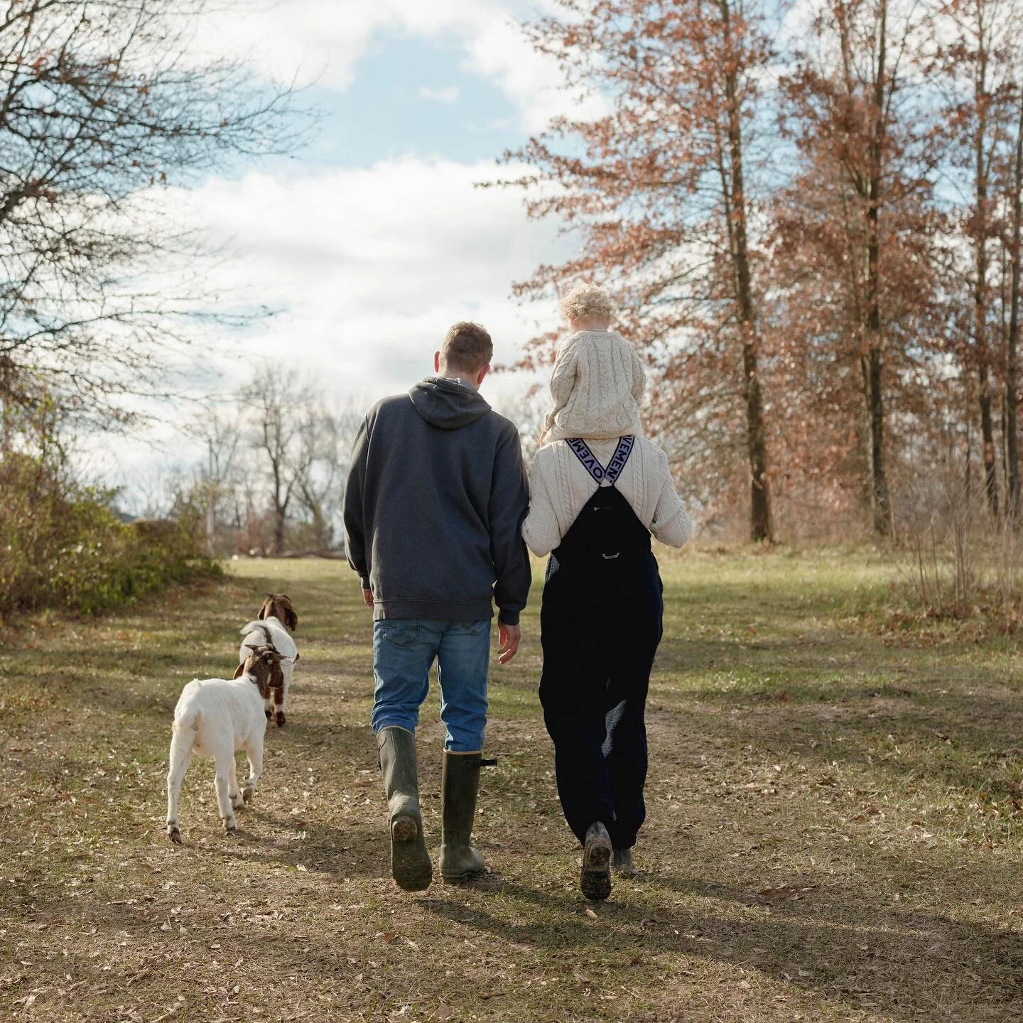 CT is so excited for all of our new followers. Love ya all. We took Clover &amp; Tulip on their daily walk (along with the dogs and the cats) to get some exercise before the cold blows in. We are all hunkered down now for the storm. We&rsquo;ll be sh