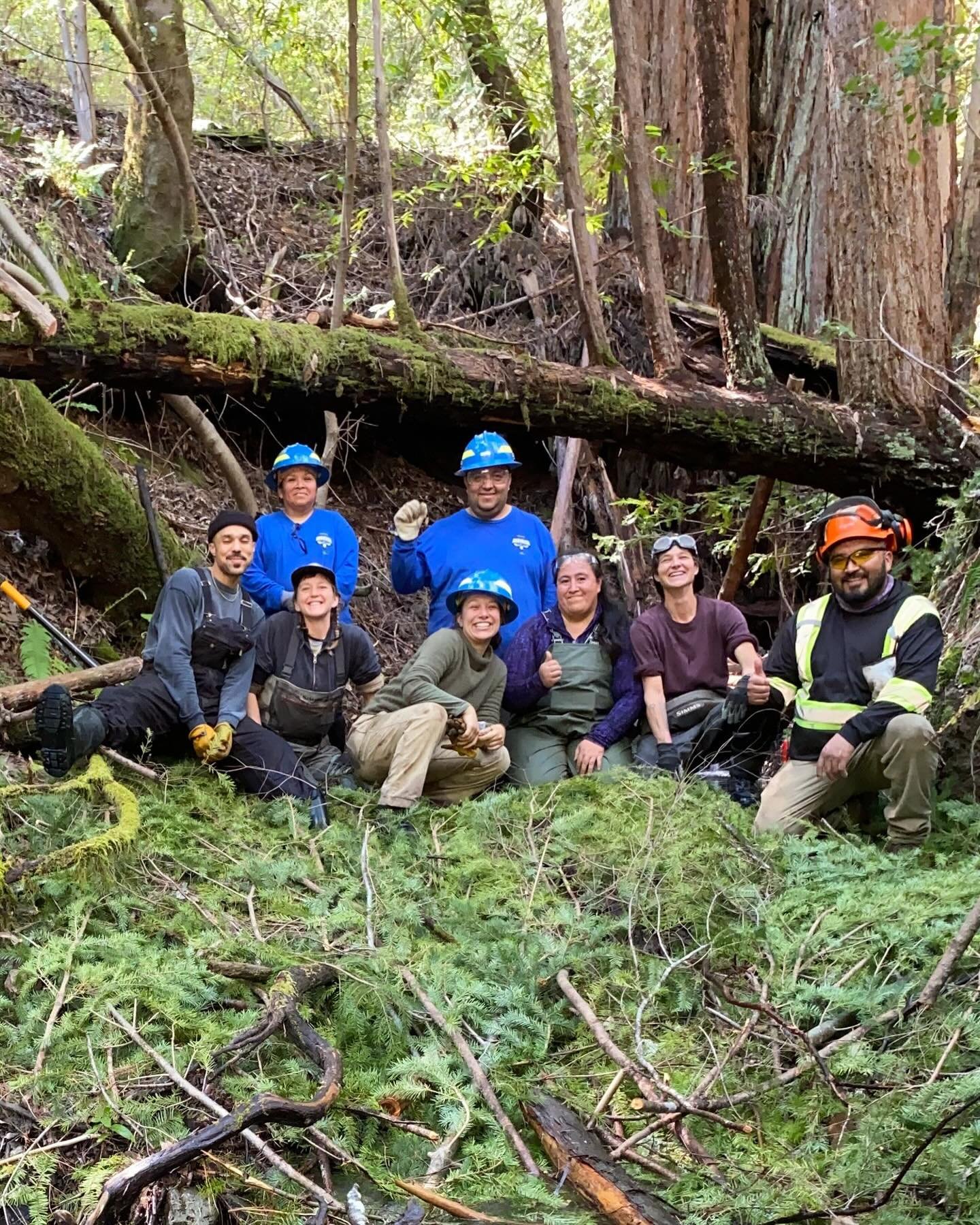 Shoutout to our powerful collaborators at North Bay Jobs with Justice and Resilience Force, who spent a week on the land supporting our creek restoration project. 💙

NBJJ is a nonprofit that creates vital bridges for system-impacted folks&mdash;retr