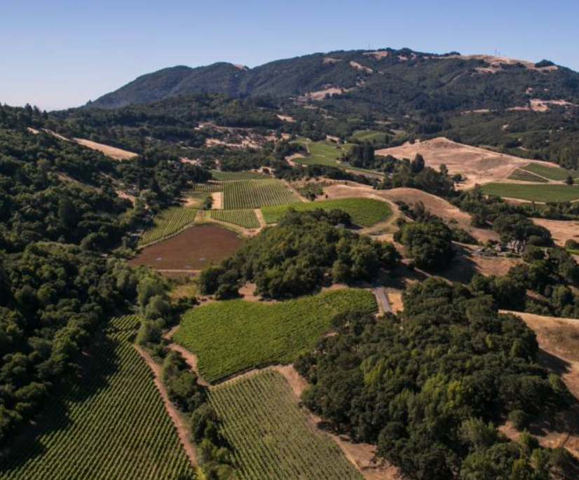 KQED: Four Stewards at Work Healing Their Land and Communities