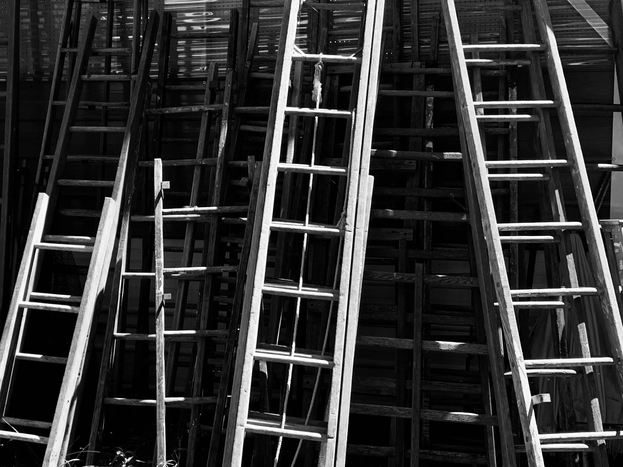 A collection of wooden ladders leaning against a wall in black and white.