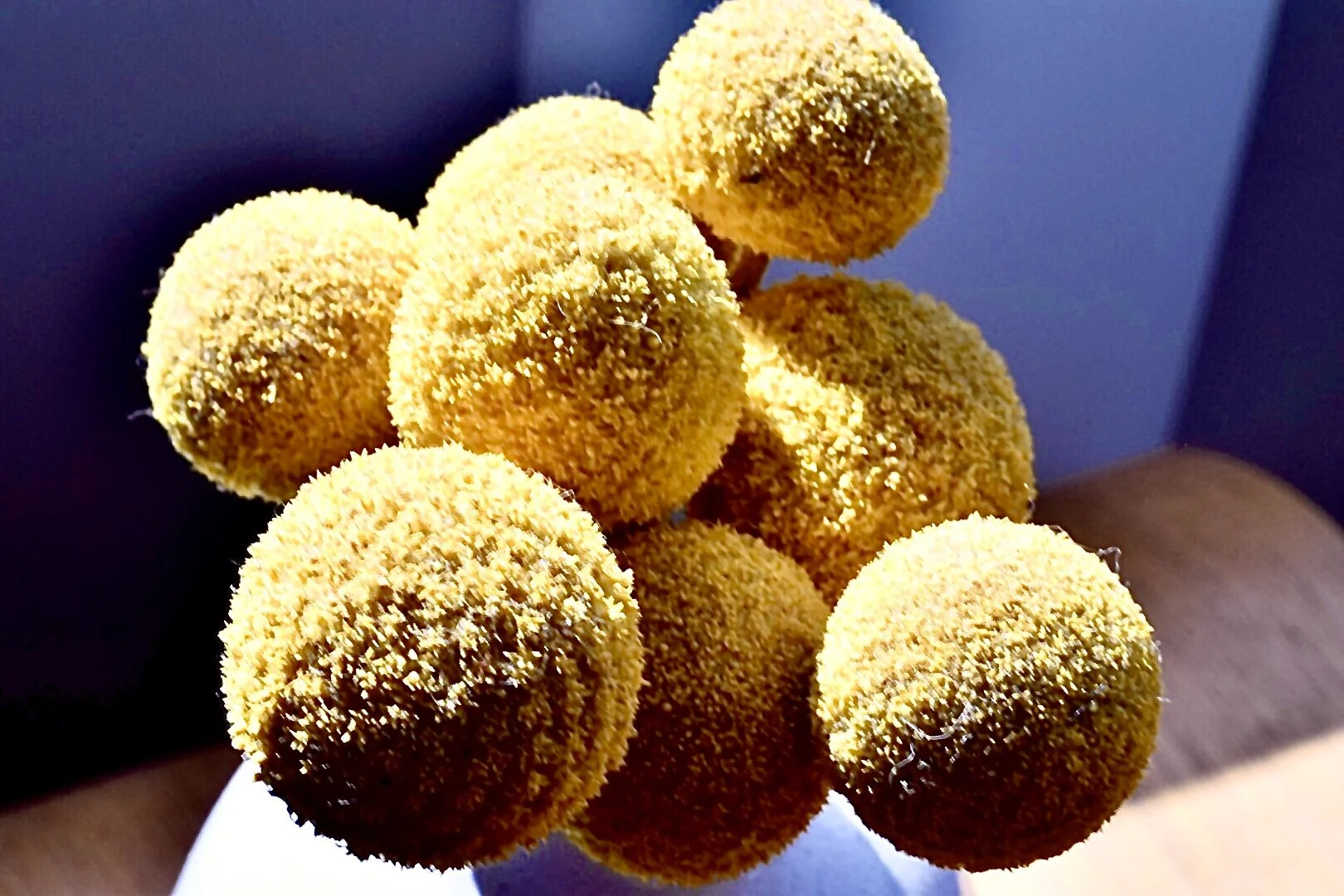 A bunch of yellow, round, textured balls, possibly food or decorative items, stacked together with a blurred dark background.