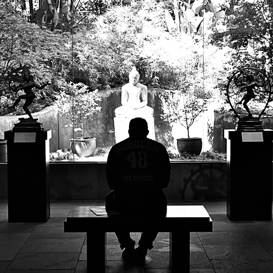 INTROSPECTION
