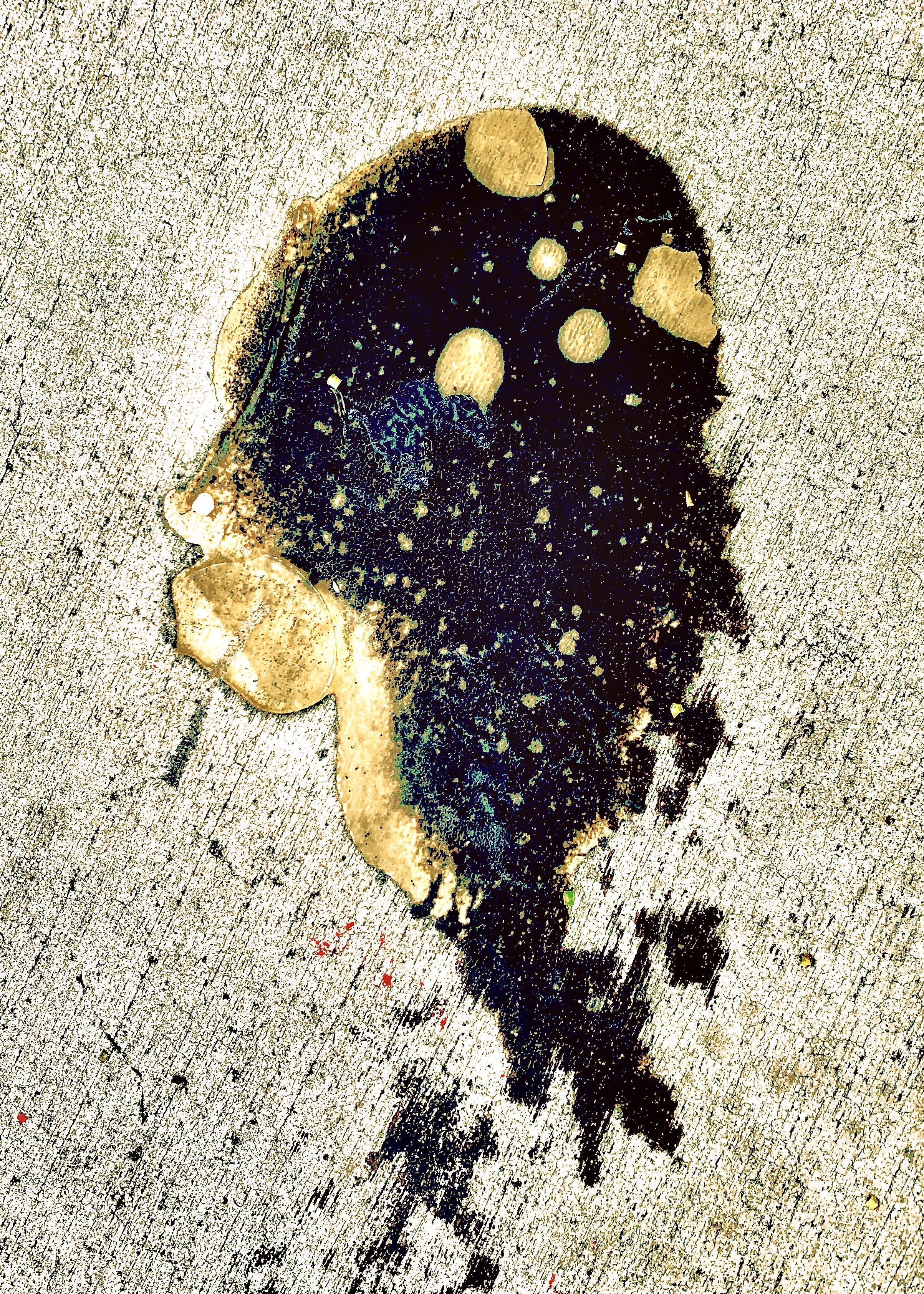 SCATTERED THOUGHTS
