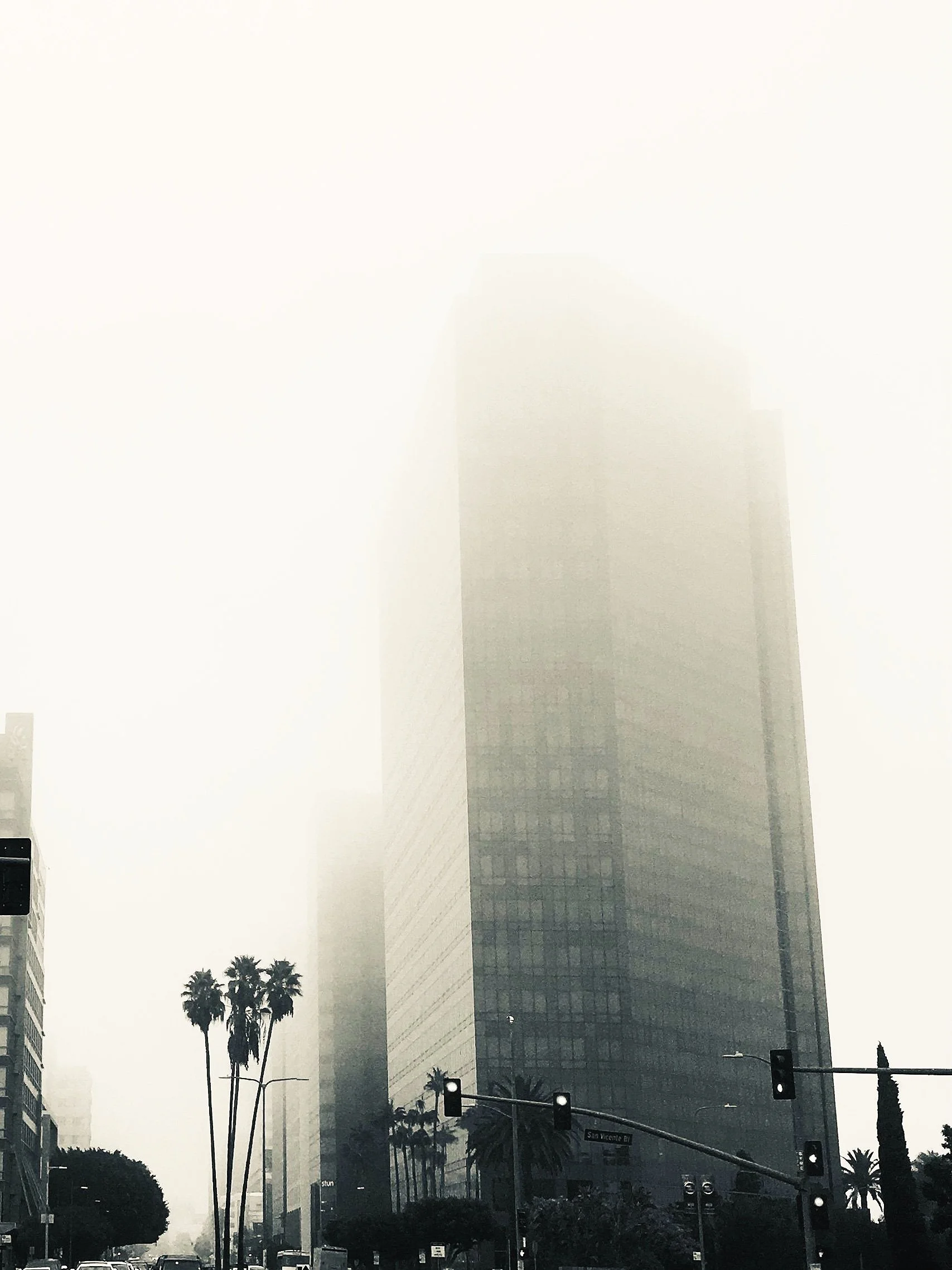 Tall skyscraper shrouded in fog in an urban city, with palm trees and traffic lights in the foreground.