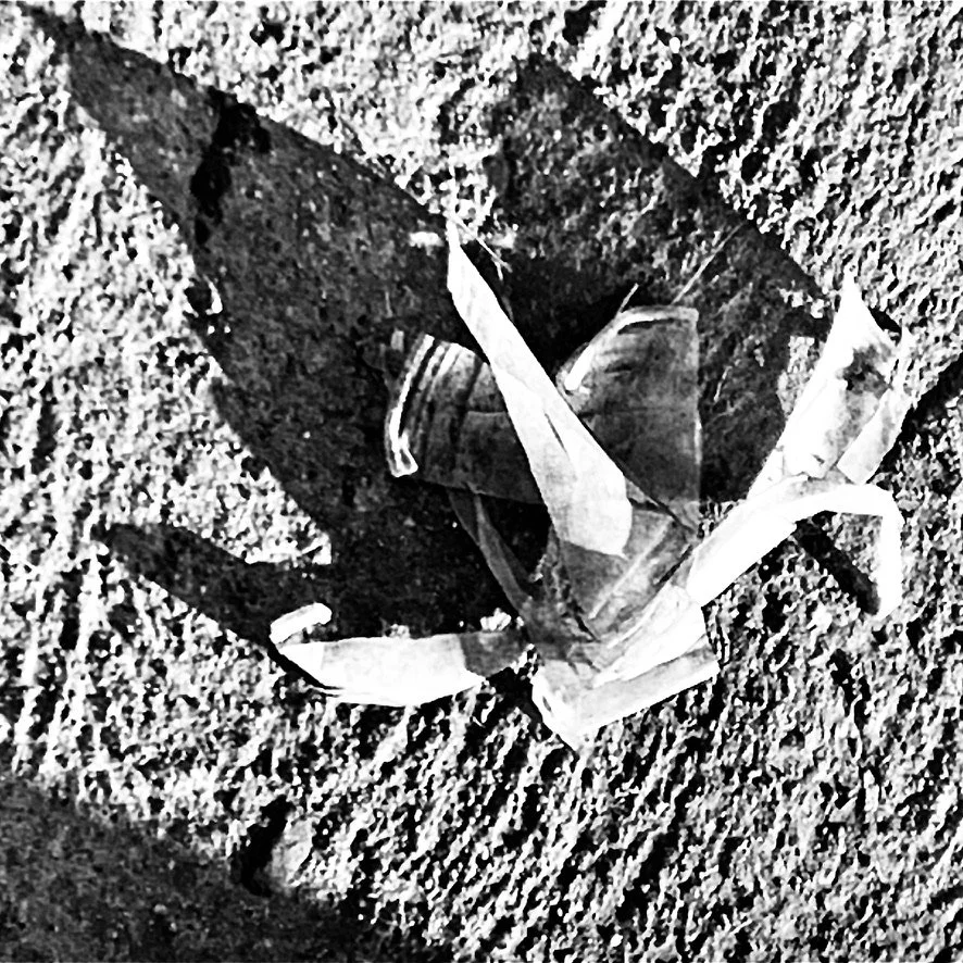 URBAN CRAB