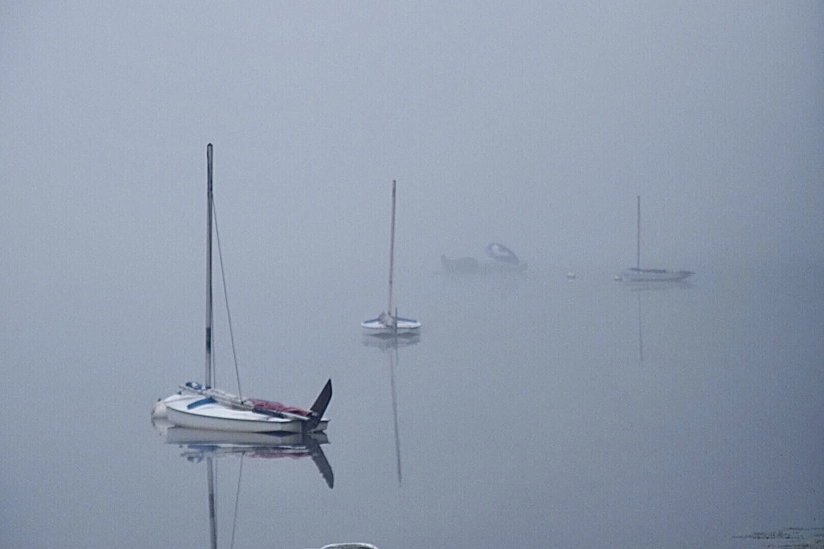 Several sailboats are anchored on a calm, foggy body of water, with their reflections visible on the water's surface.