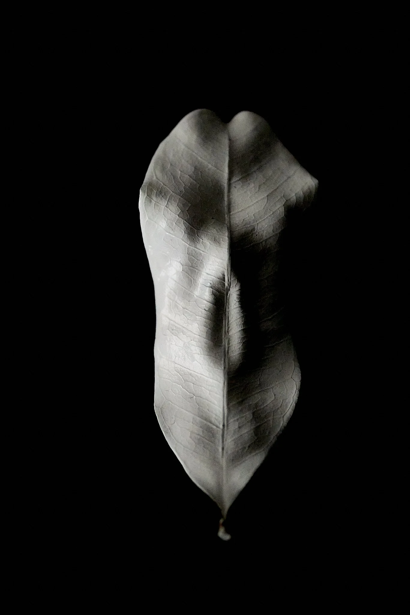 EVE Garden of Eden series