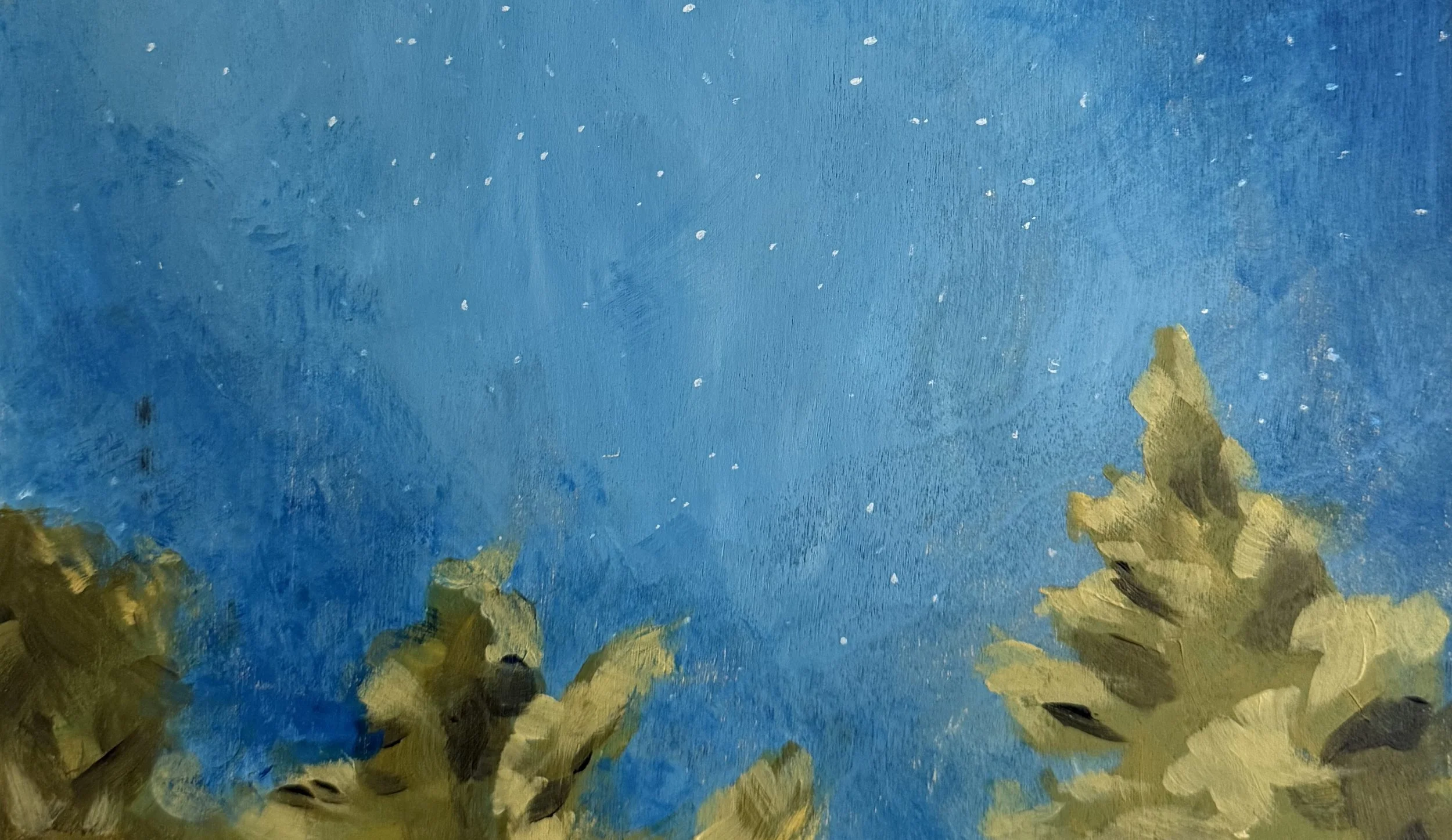 Starry Night (in Maine)