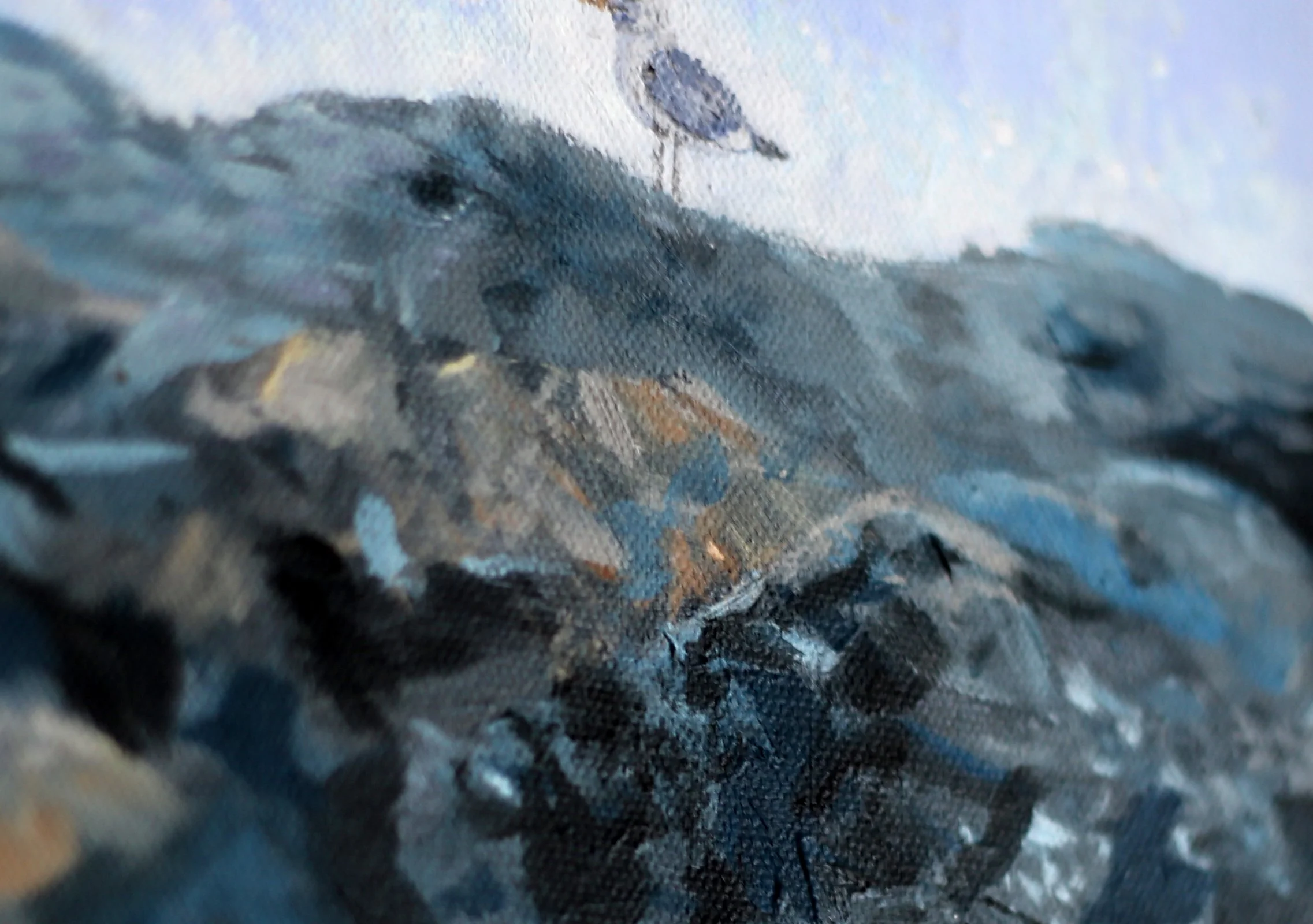 seagull-detail2.jpg