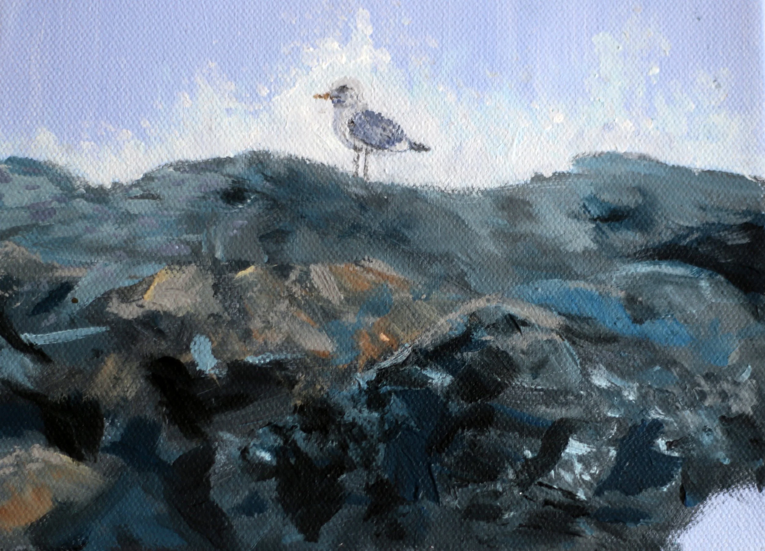 Seagull in Winter 12" x 9"