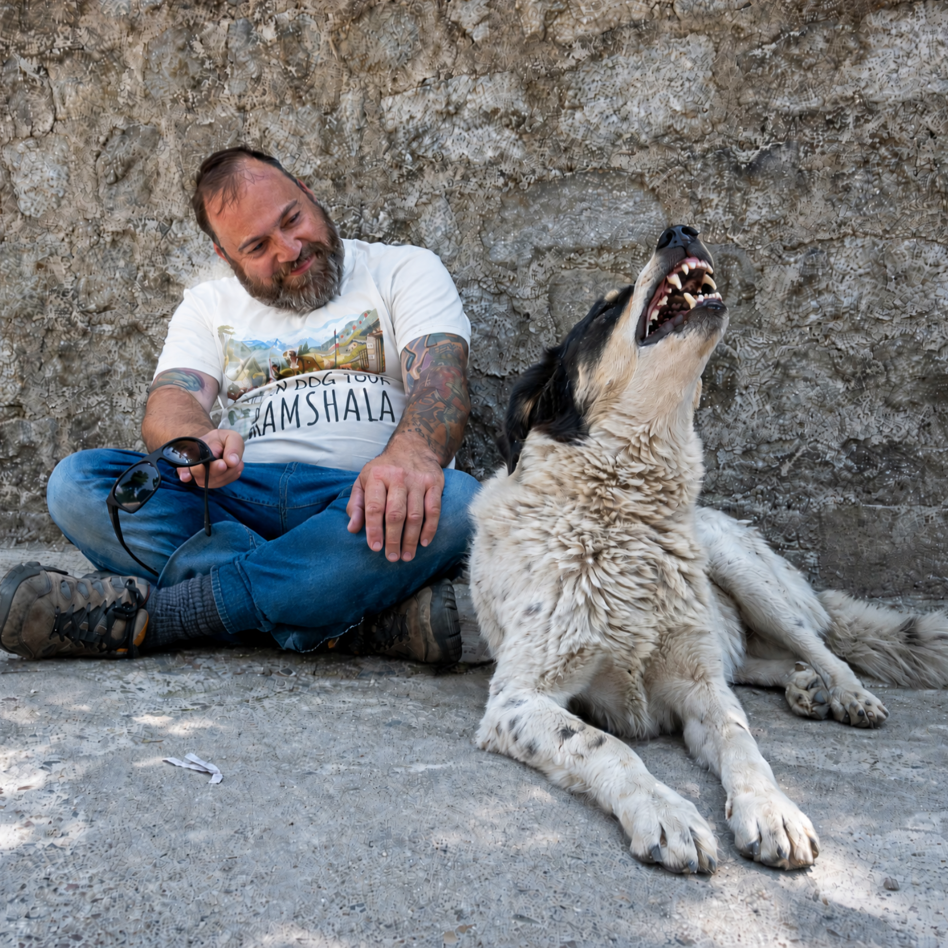 Certified dog behavior consultant and free living dog sitting next to a stone wall in India