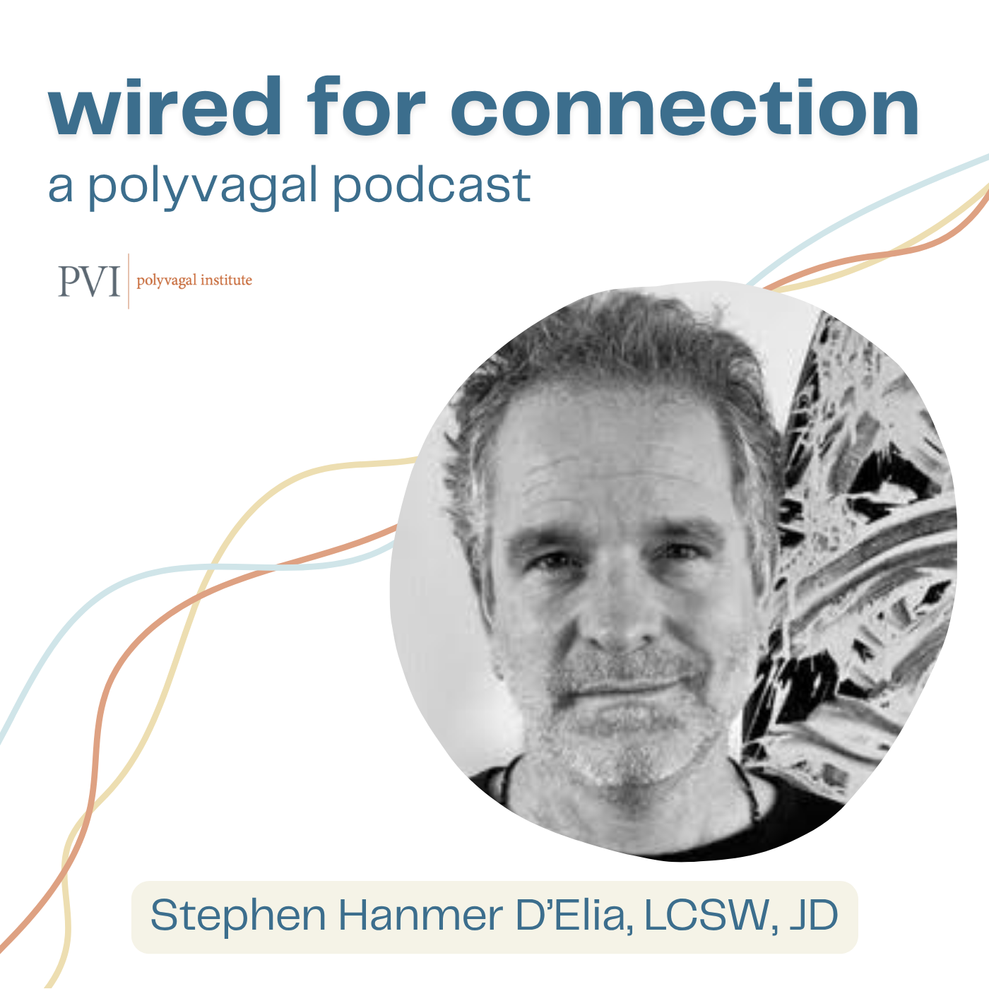 Podcast cover for 'wired for connection,' a polyvagal podcast, featuring a black and white portrait of Stephen Hamner D'Elia, LCSW, JD, with curved lines in pastel colors and the polyvagal institute logo.