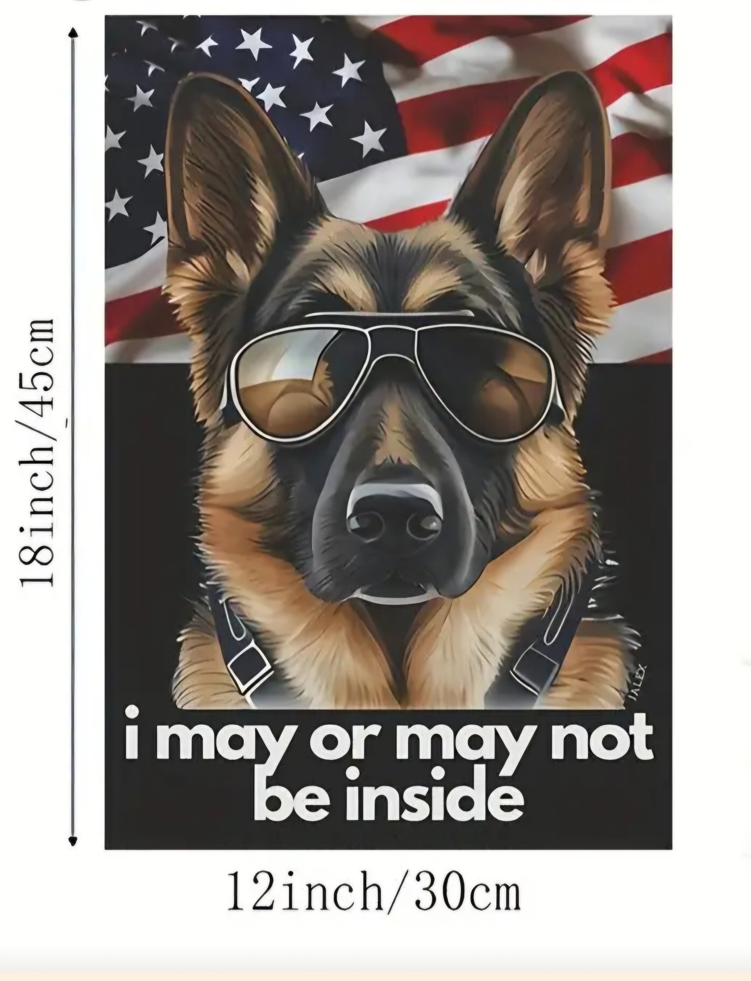 GERMAN SHEPHERD 4.jpg