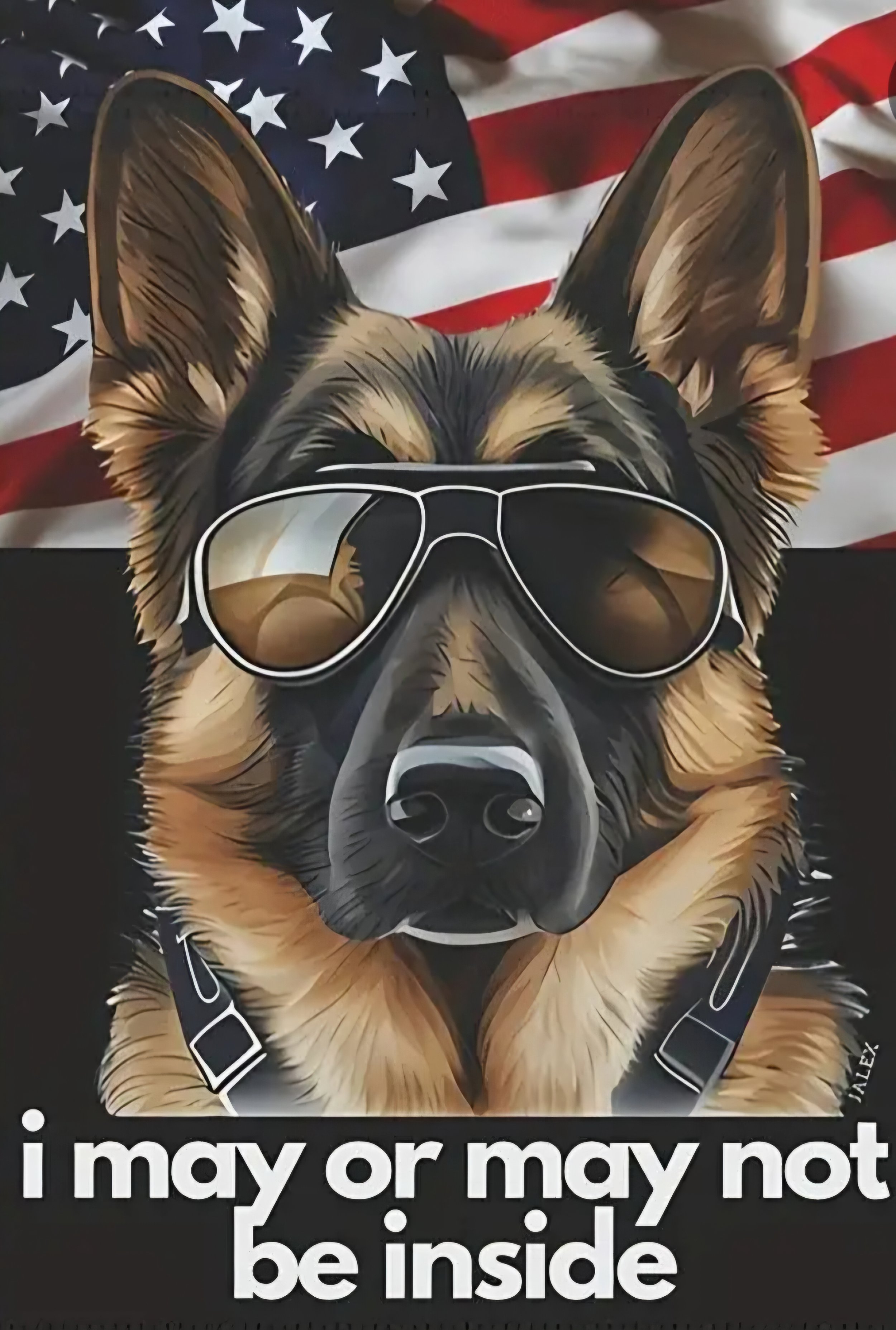 German Shepard Police Dog 1.jpg
