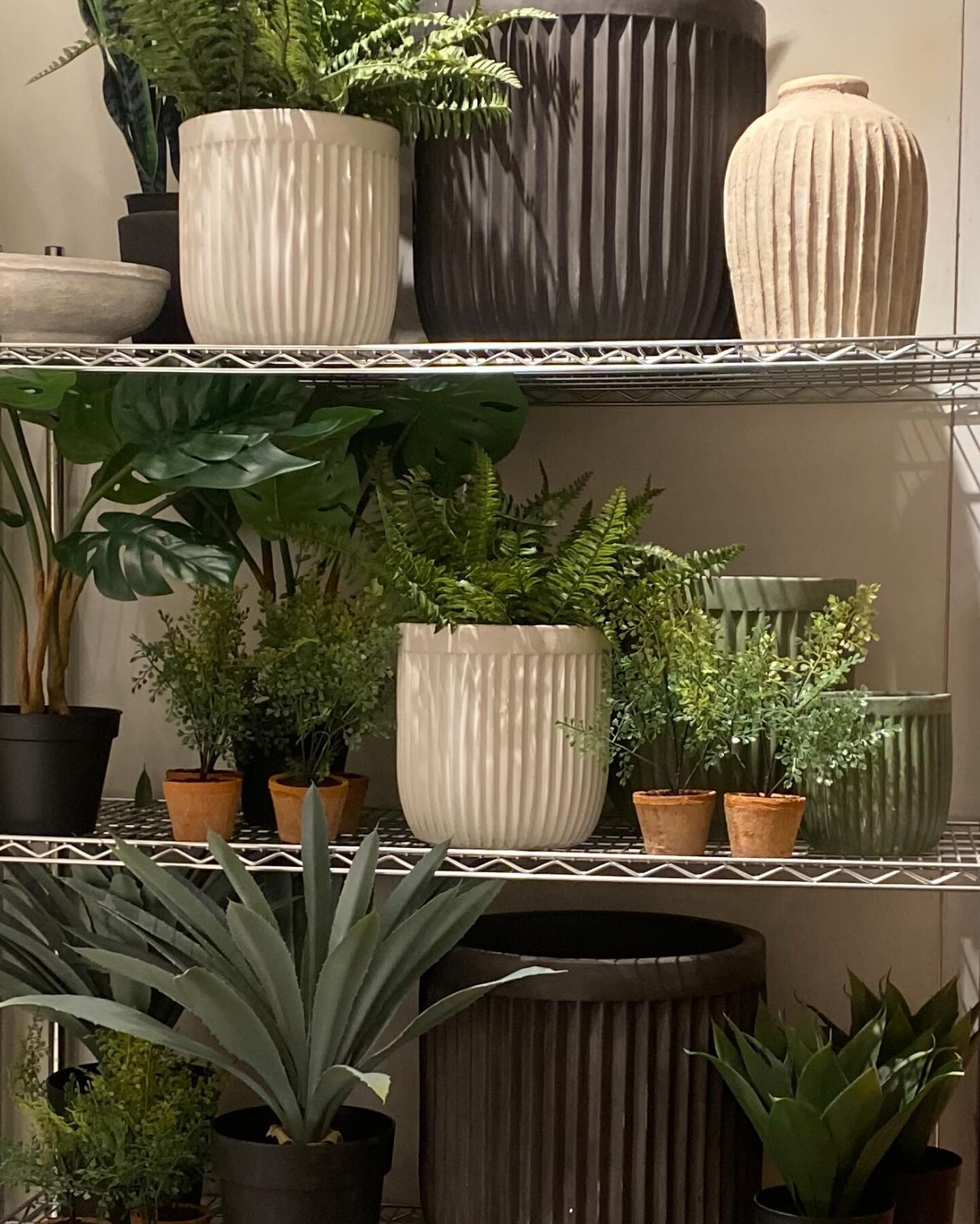 We get asked all the time by clients &mdash; How do I choose the right size pot for my plants? As a rule of thumb, we use the rule two inches larger than your plants diameter. Sizing up should be a gradual process which allows your plants to adjust a