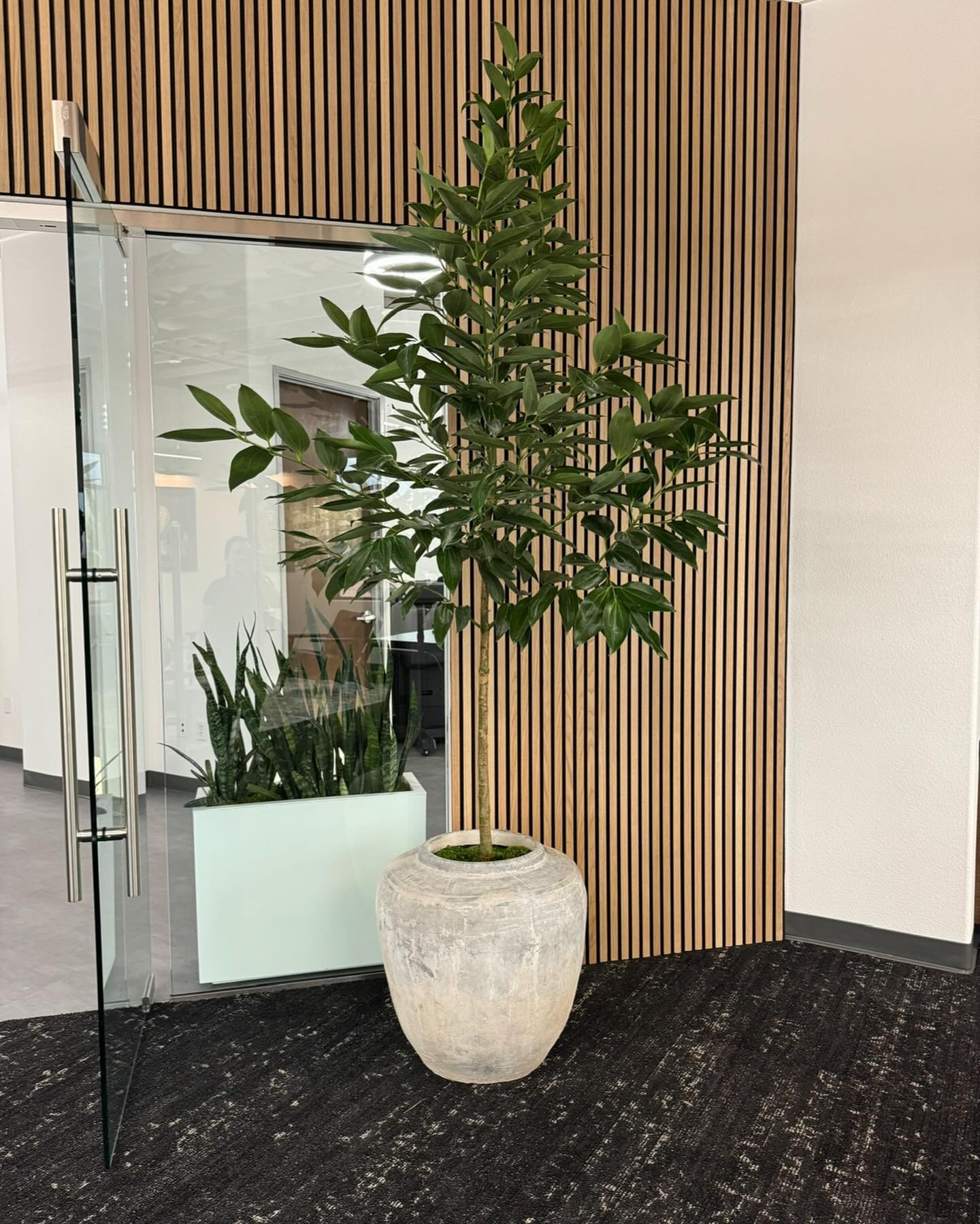 Want to create a healthier, more joyful workplace? Our plant design services specialize in bringing the benefits of nature indoors. Yes&hellip; plants add visual appeal, but they also increase oxygen levels, reduce noise, and promote a sense of calm.