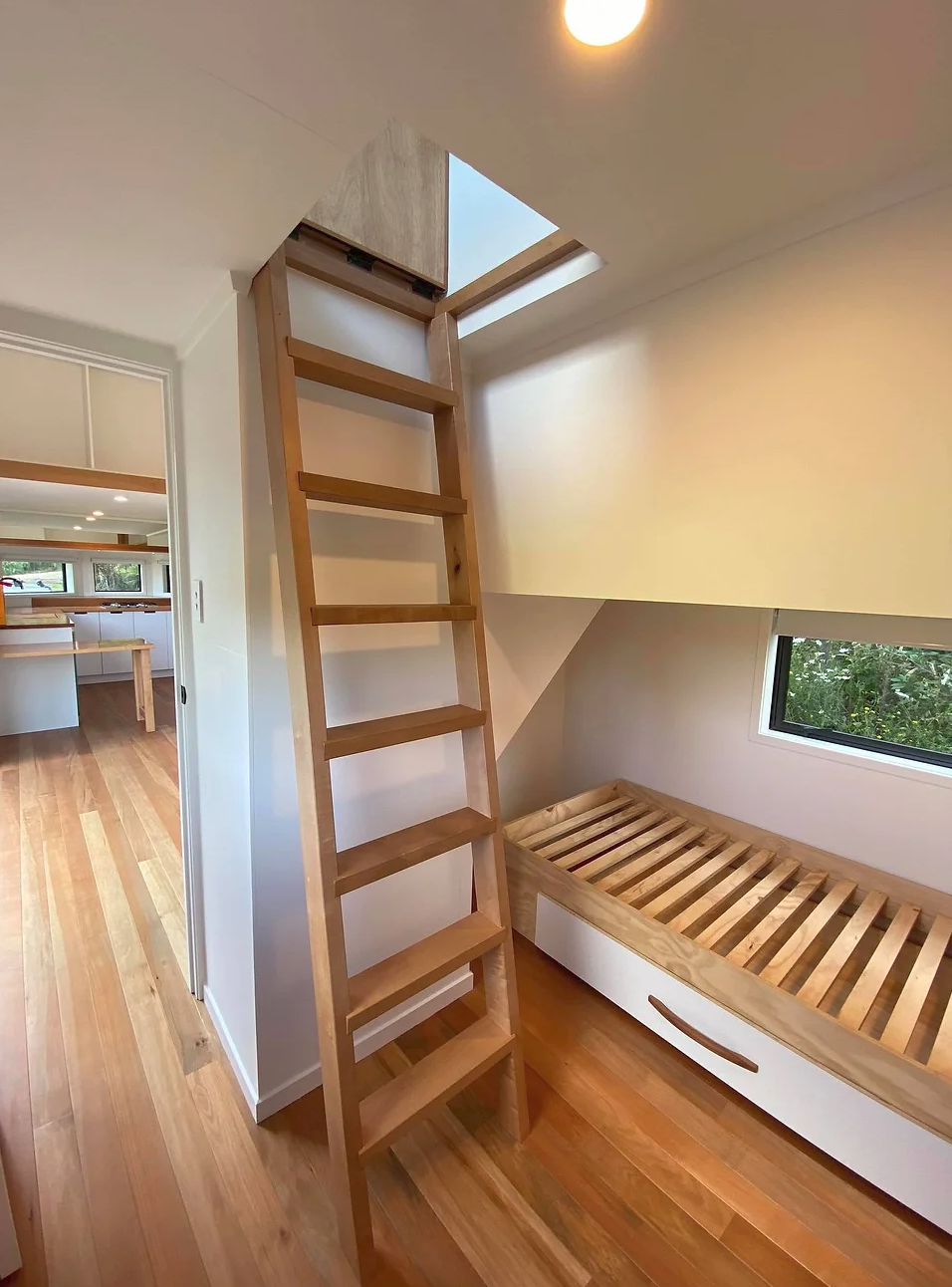 Screen Shot 2023-05-26 at 10.53.03 PM.png