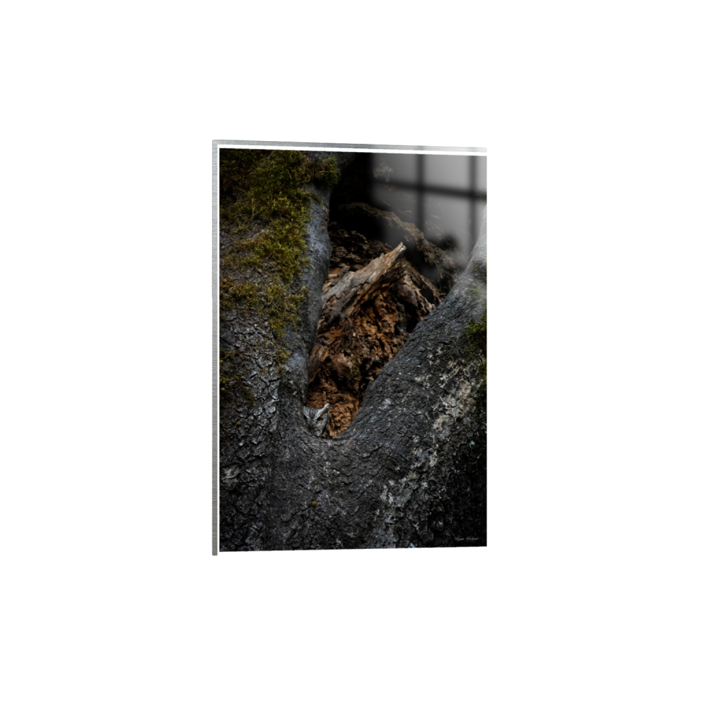 ptq_13_3_0_0_3802_5703_0_true_ffffff_1_1_.png