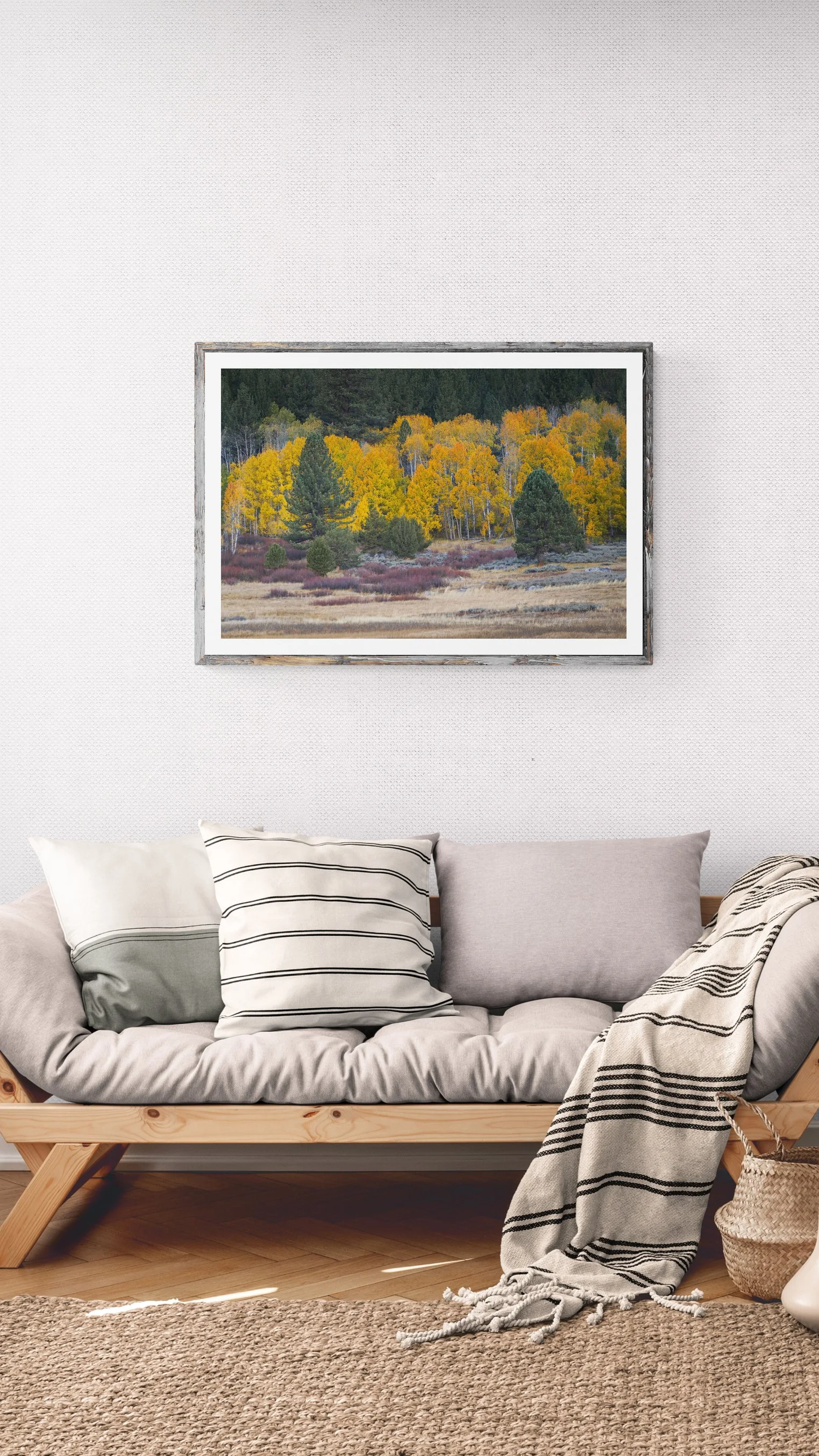 peaceful-living-room-wall copy.jpg