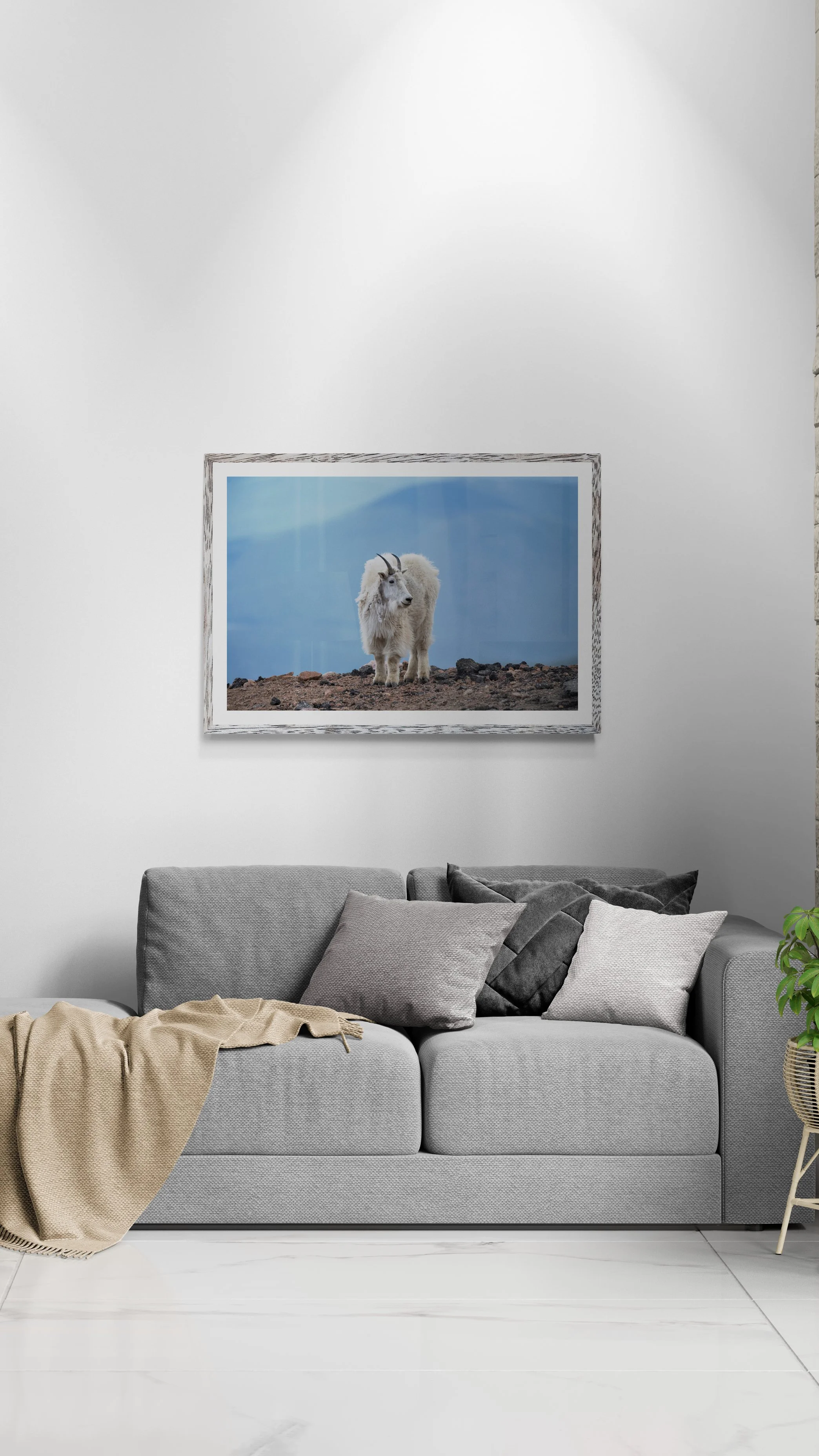 living-room-with-spotlit-wall.jpg