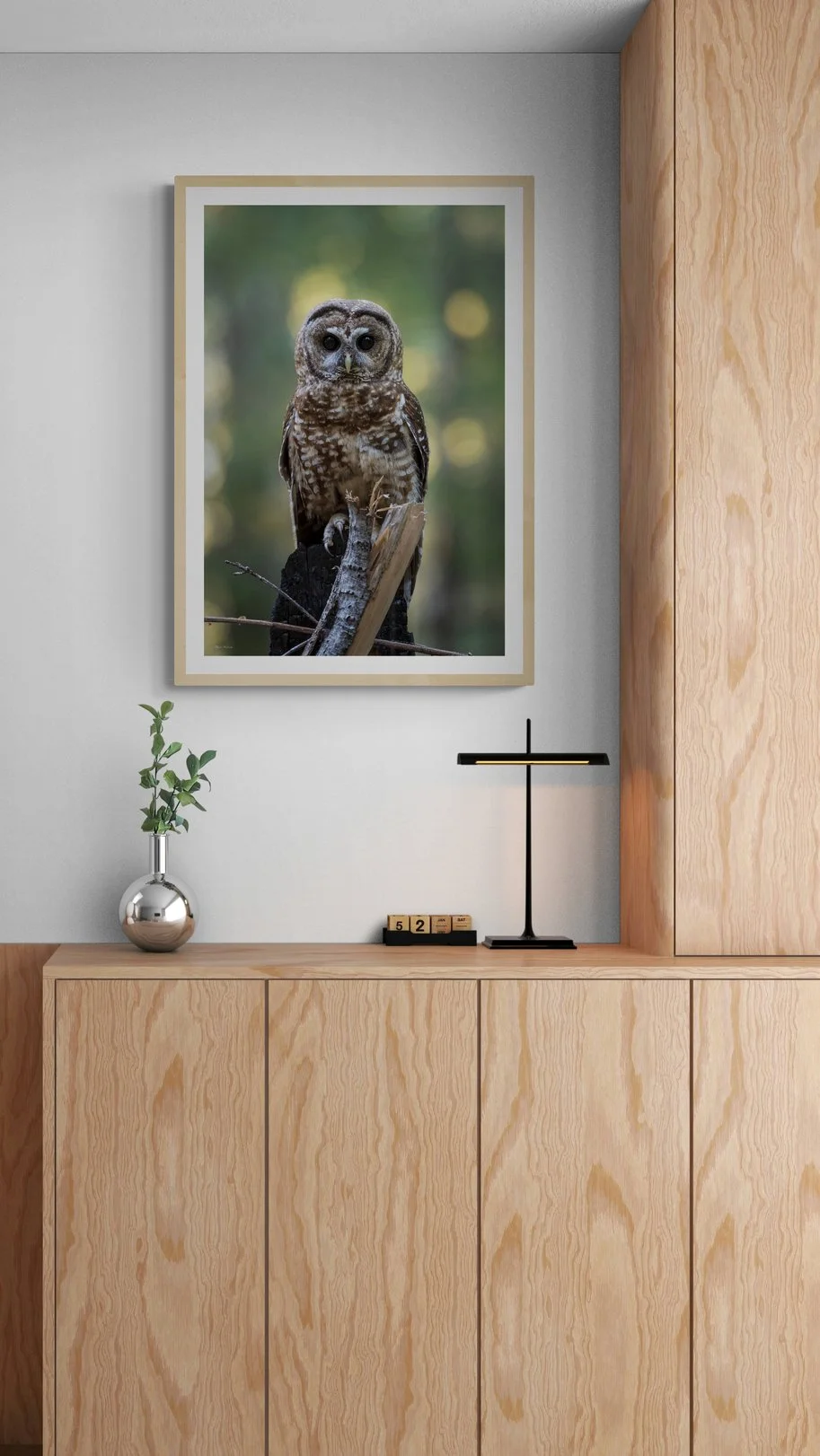 natural-wooden-cabinet-next-to-staircase (1).jpg