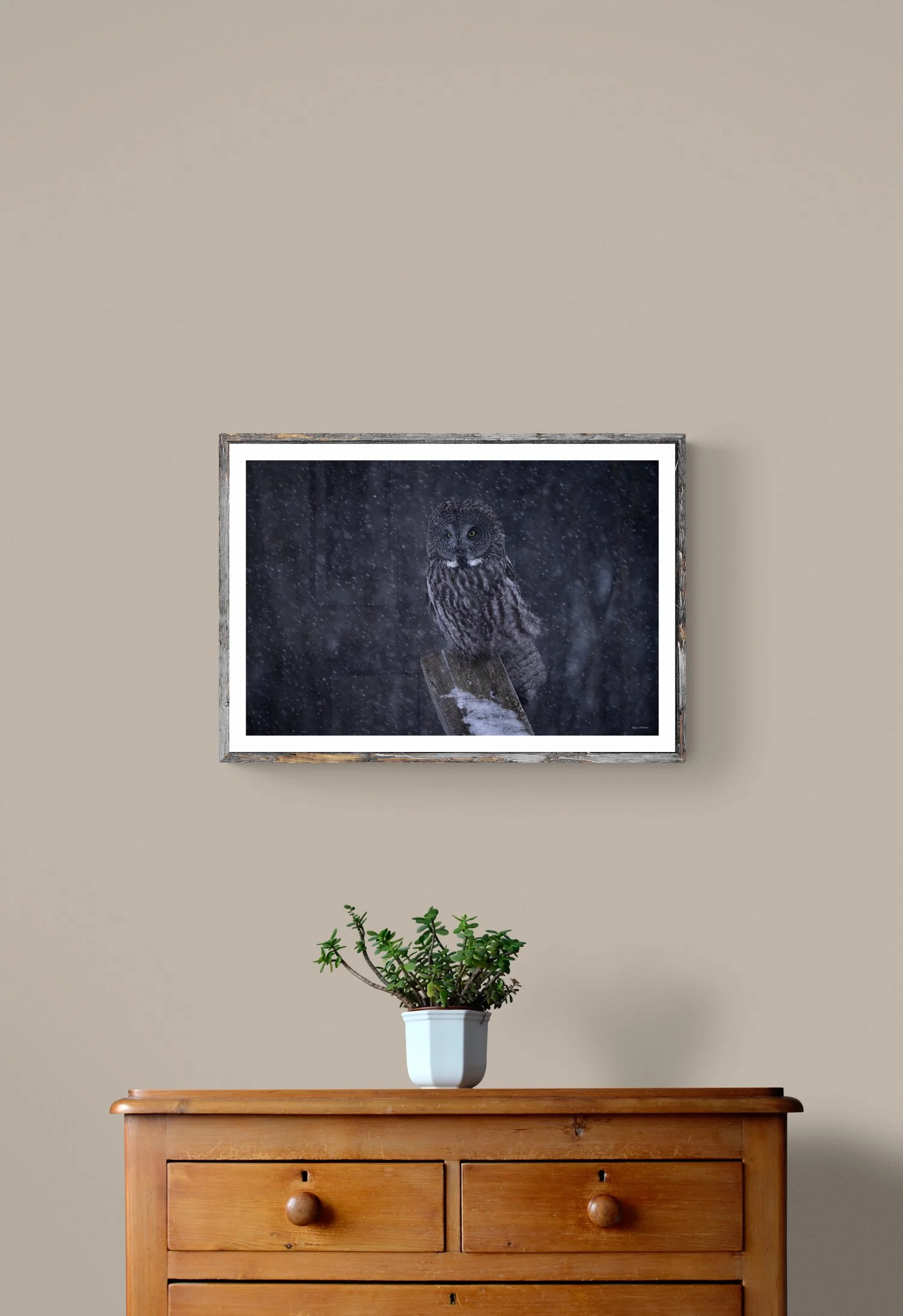 plant-on-wooden-drawers copy.jpg