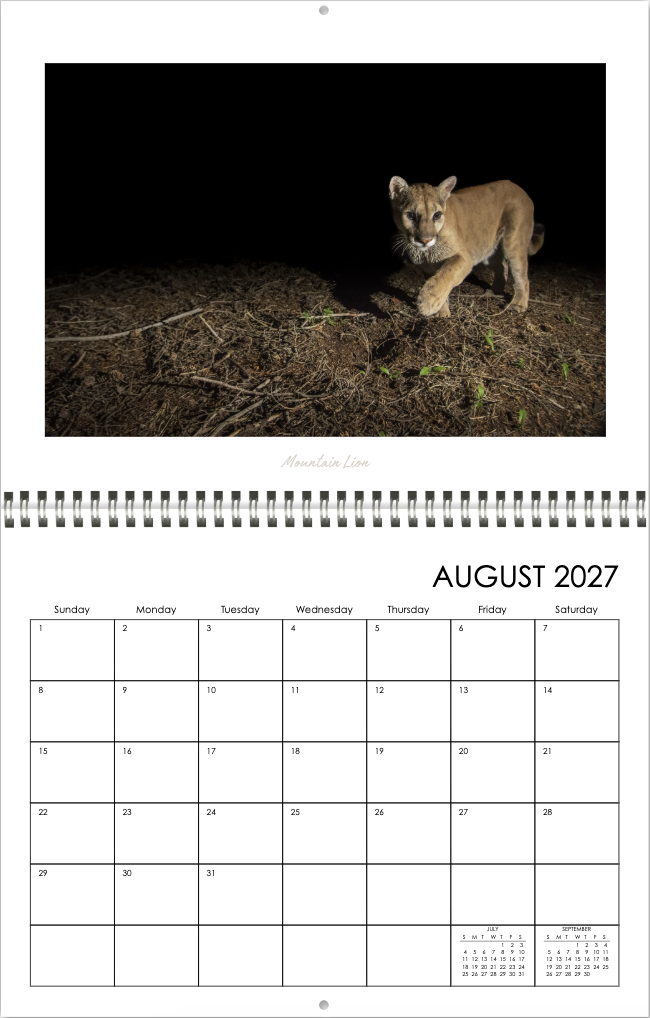 Screenshot 2026-09-18 at 6.00.02 PM.png