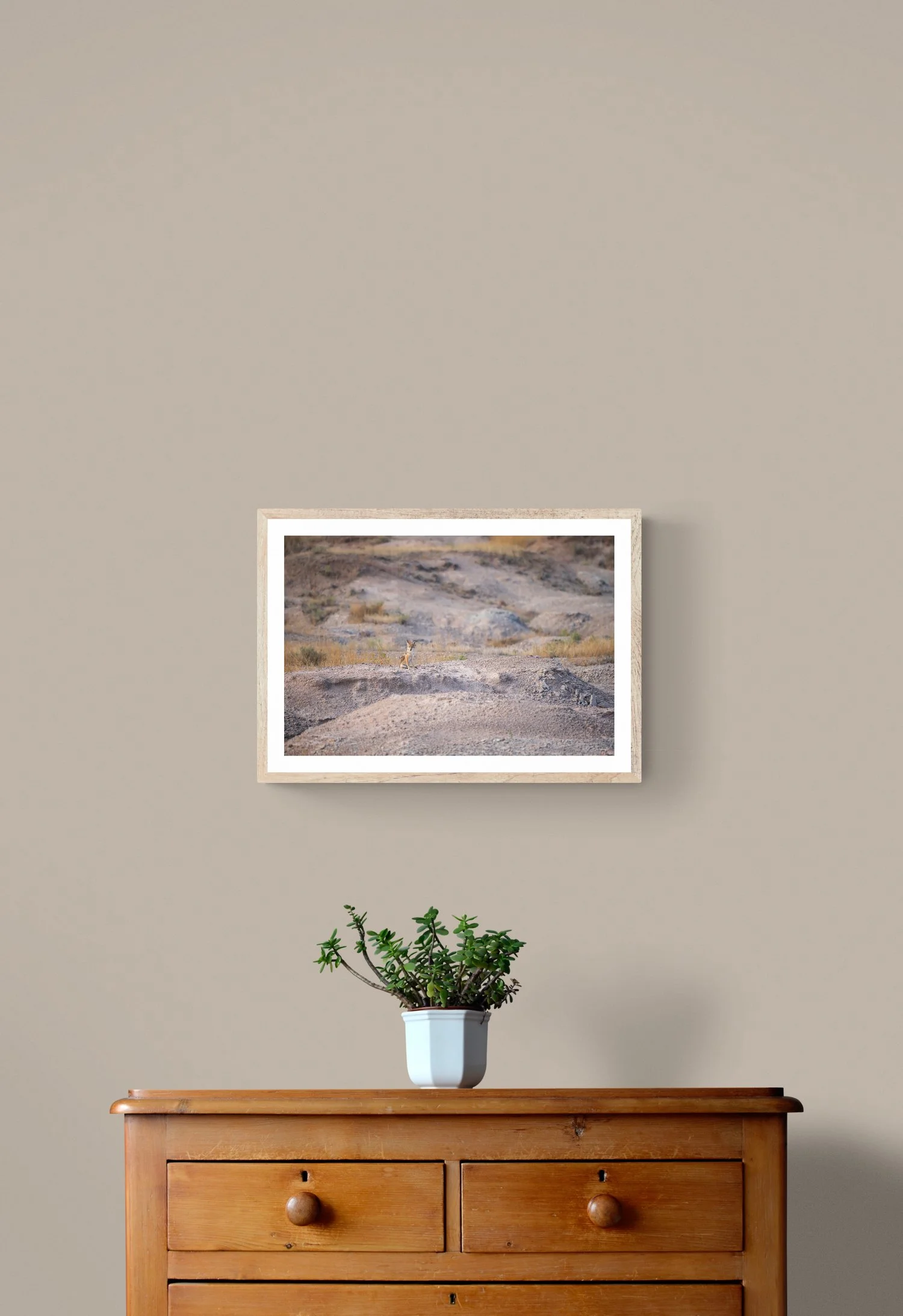 plant-on-wooden-drawers.jpg
