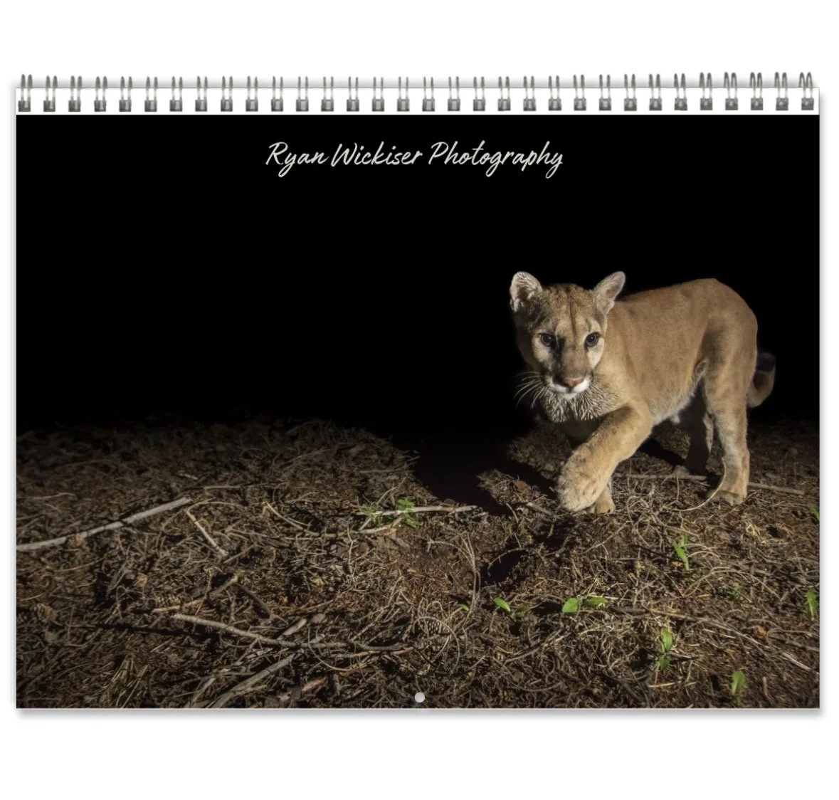 2027 Wildlife Calendar
