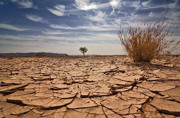 Scottsdale, Arizona Water Crisis
