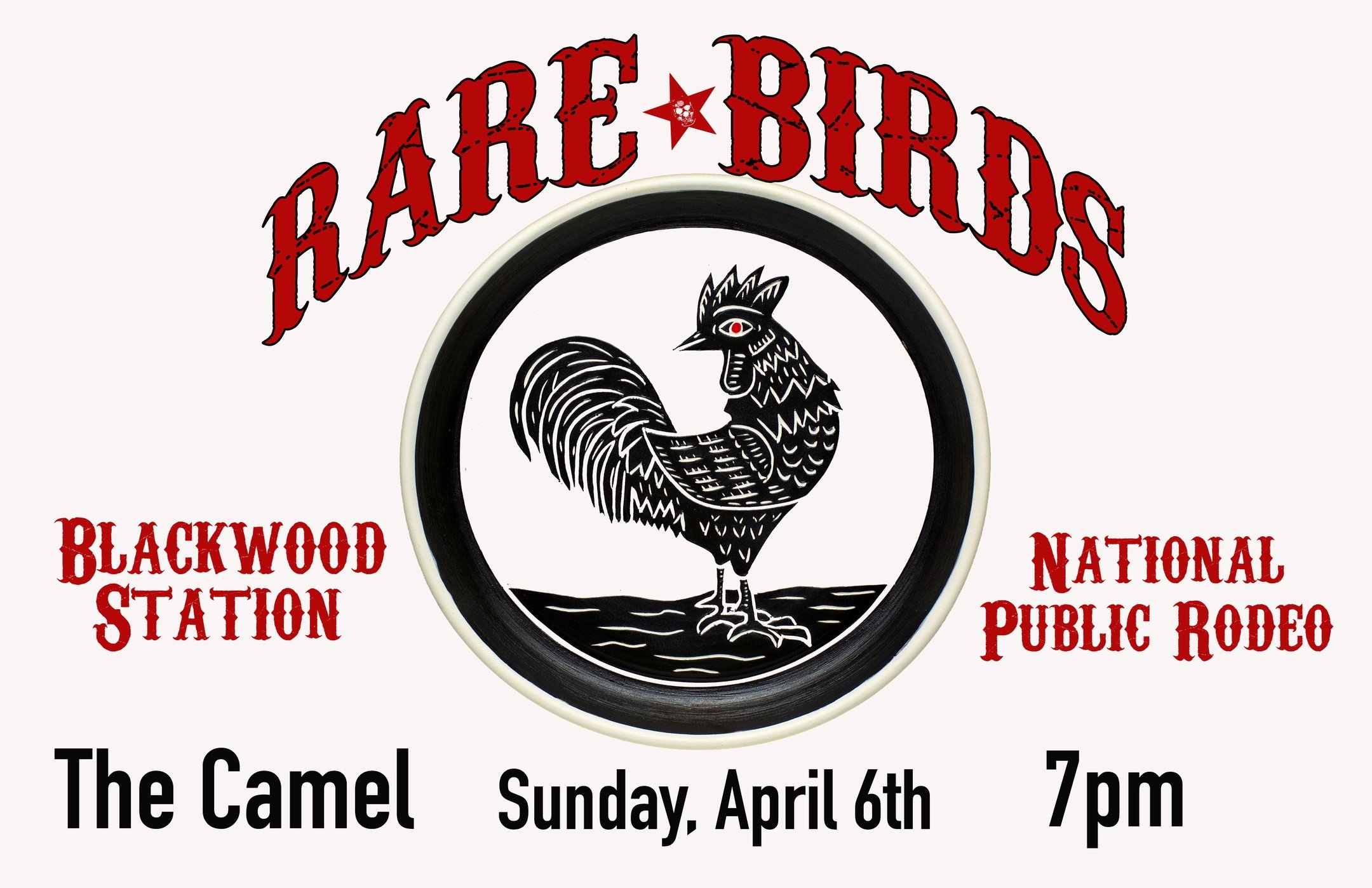Hey y'all. Surprise! got a show coming up at the Camel joining this great lineup of @rarebirdsrva and @blackwoodstation fun night of americana tunes, early start time, gonna be great