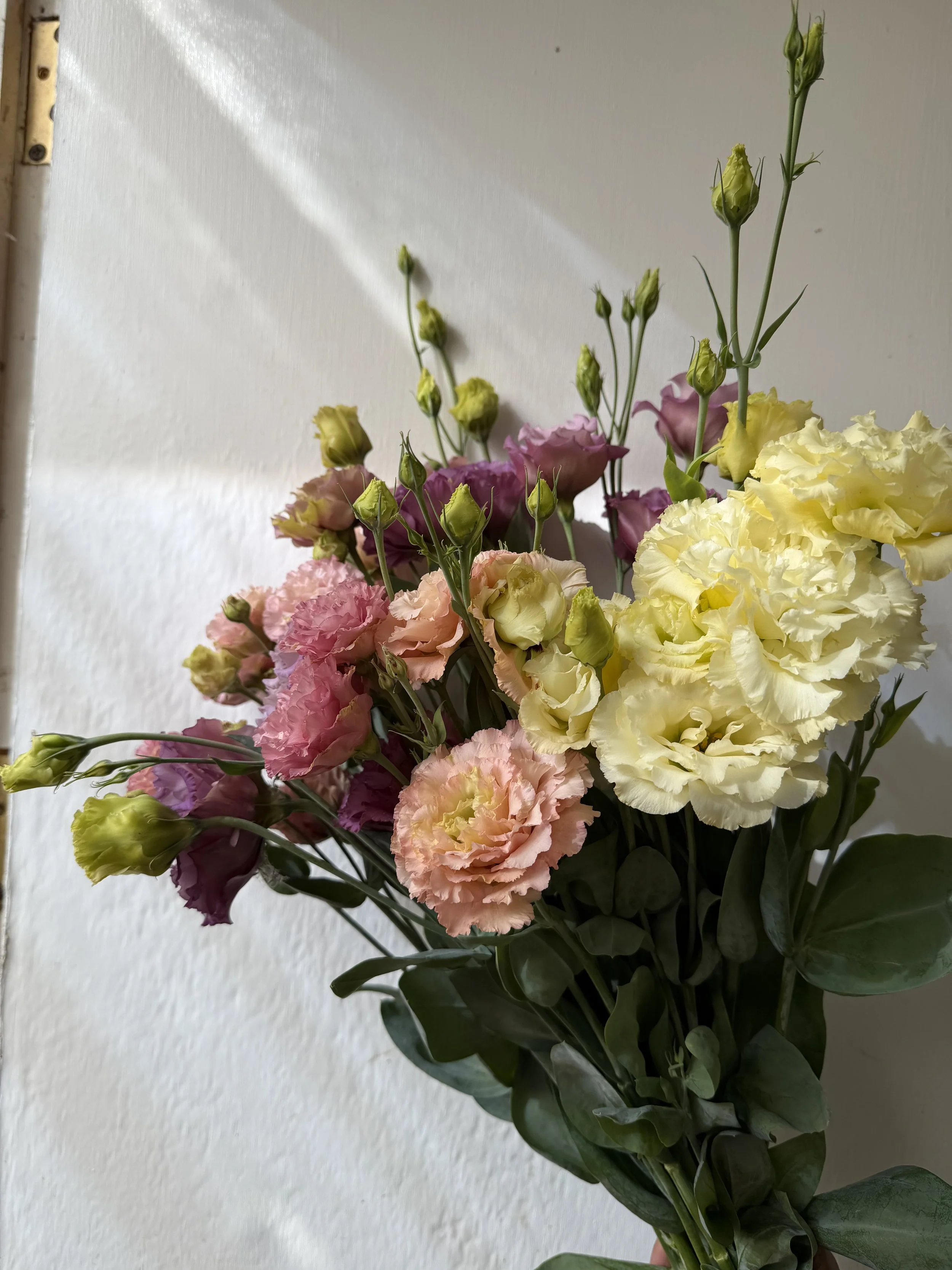 IMG_1304.jpeg