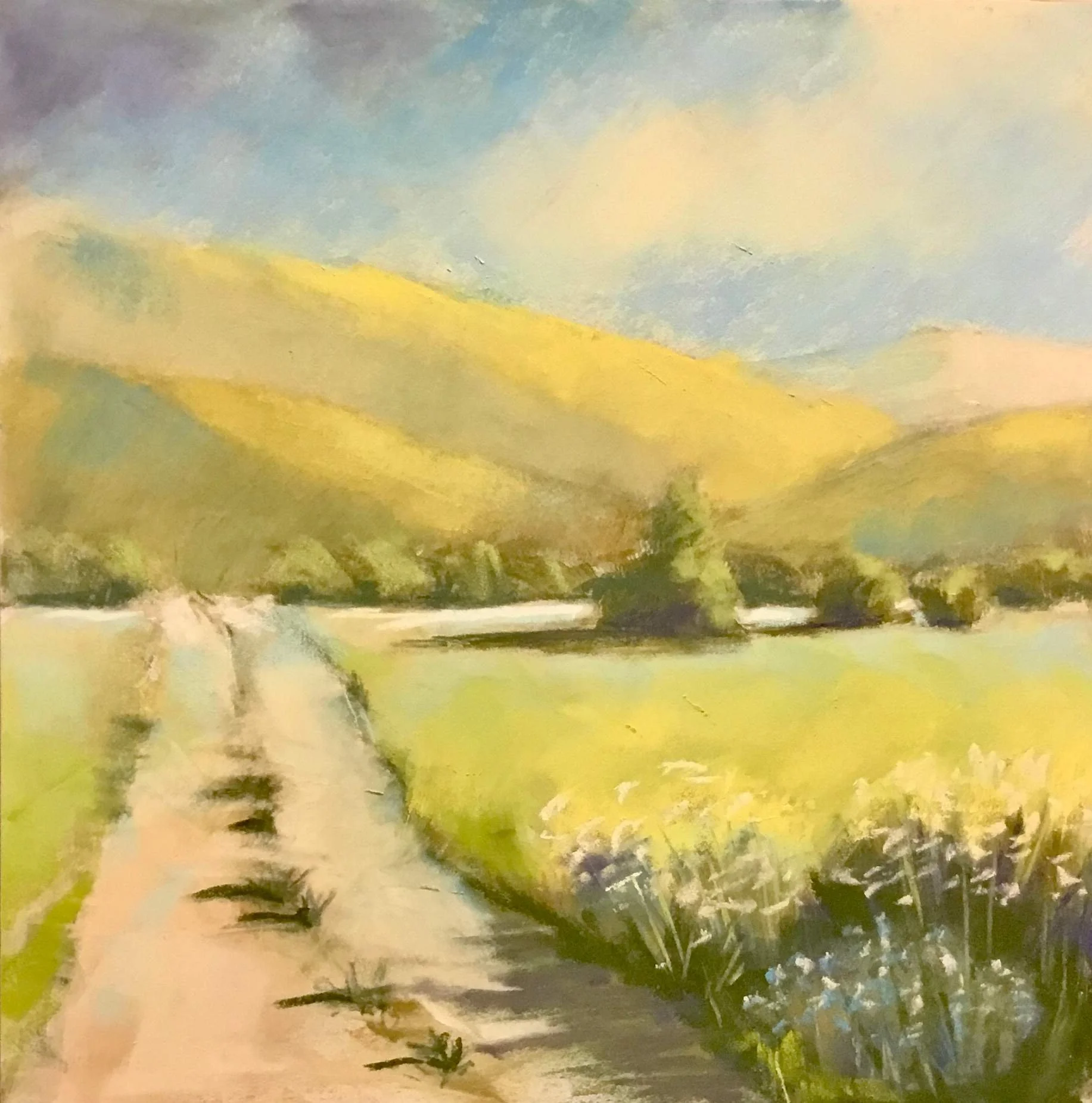 Gold on Green Mountains.jpeg