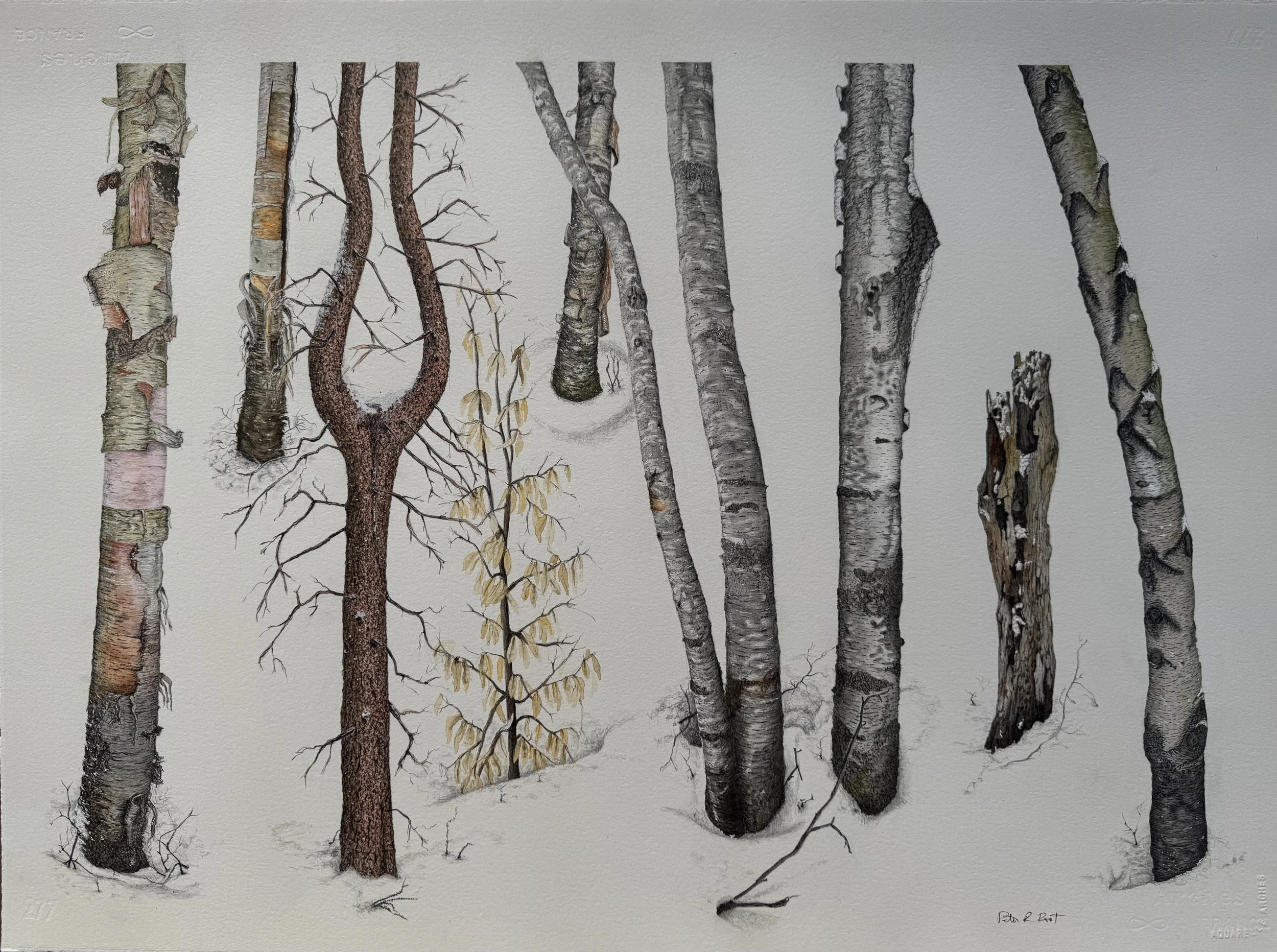 August Artist of the Month: Peter R. Root - Reception Artist Talk