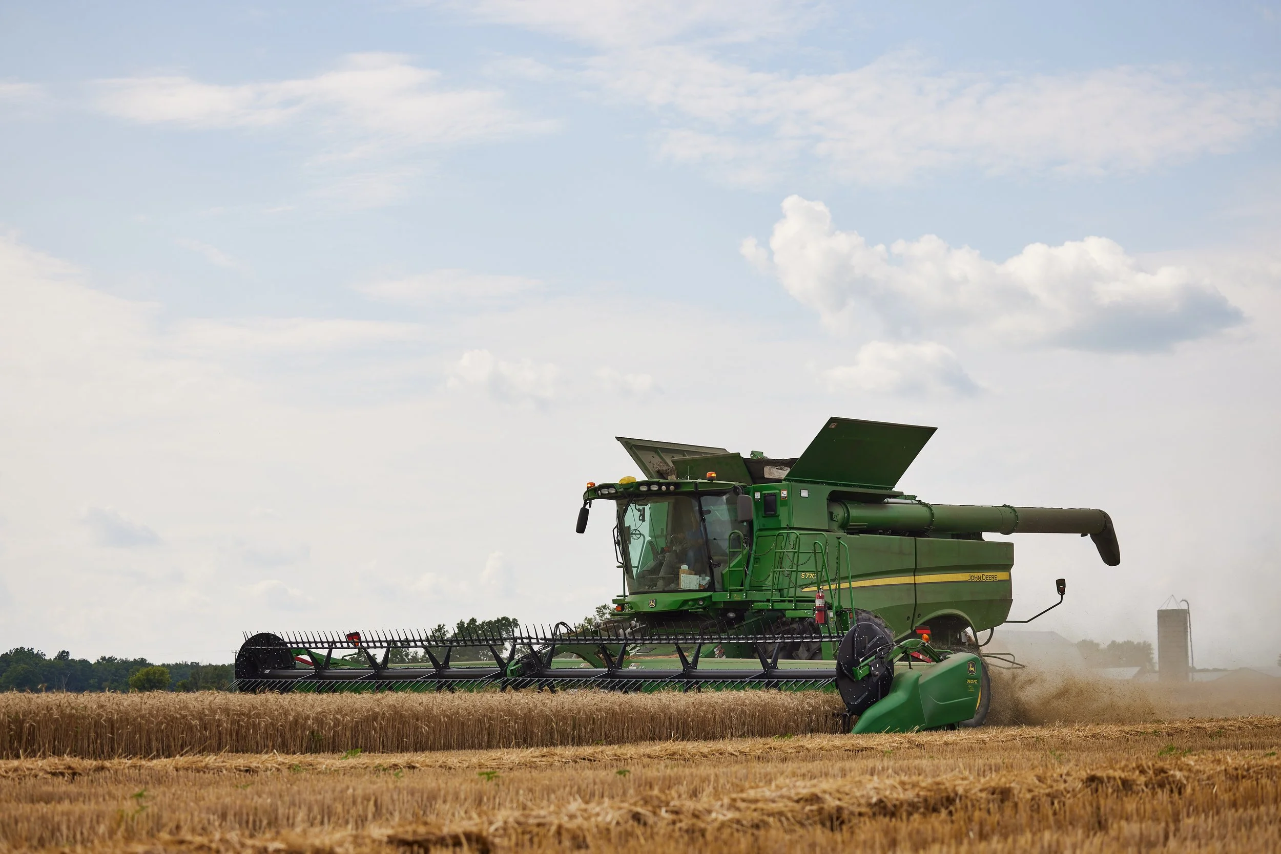 DF_Wheat-WilsonFarms-1418.jpg