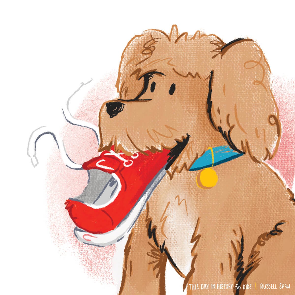  A cheerful brown dog proudly holding a red sneaker in its mouth. 