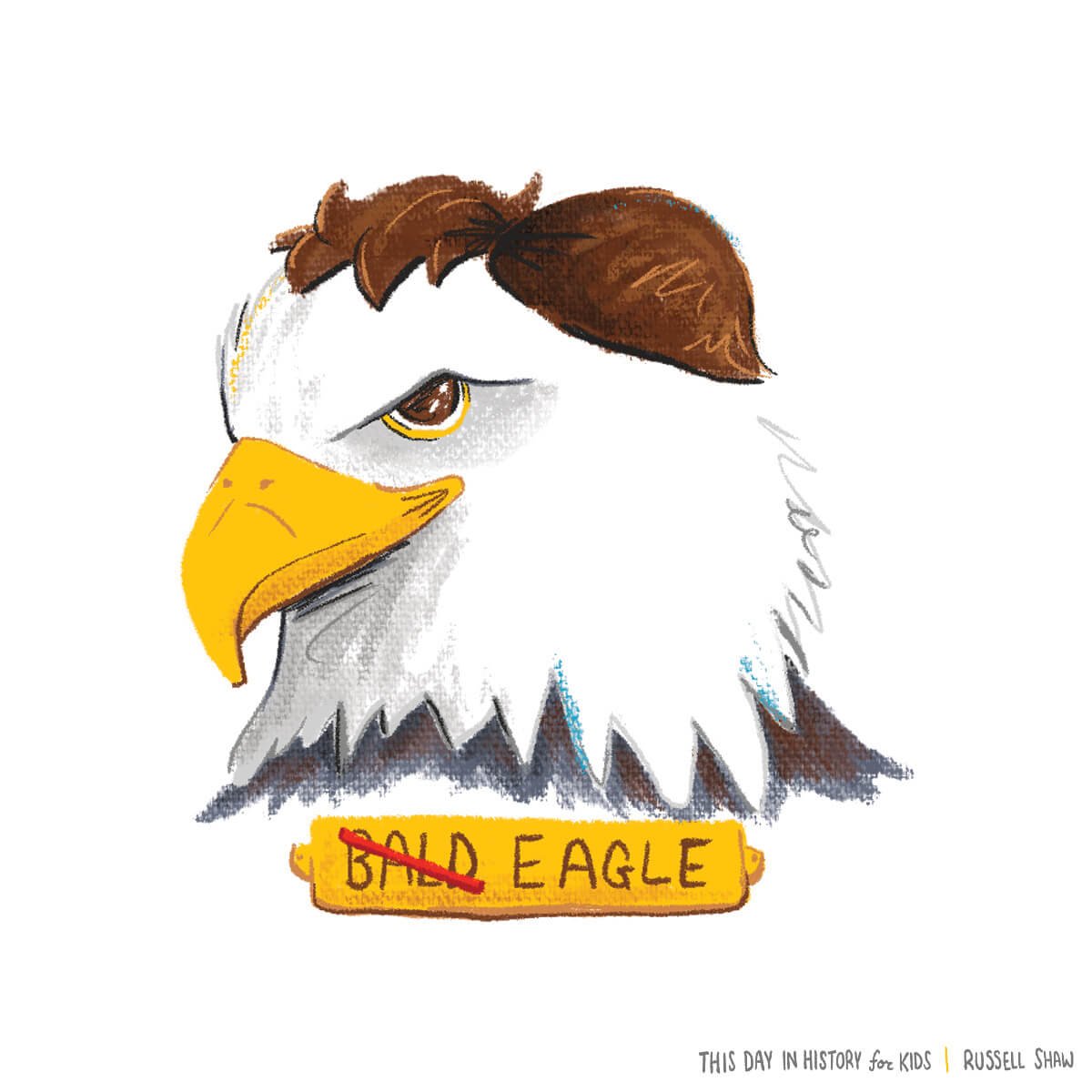  Illustration of a majestic bald eagle with a toupee hair piece, accented by an amusing golden name plate that reads "bald eagle" - a playful commentary on the bird's iconic appearance. 