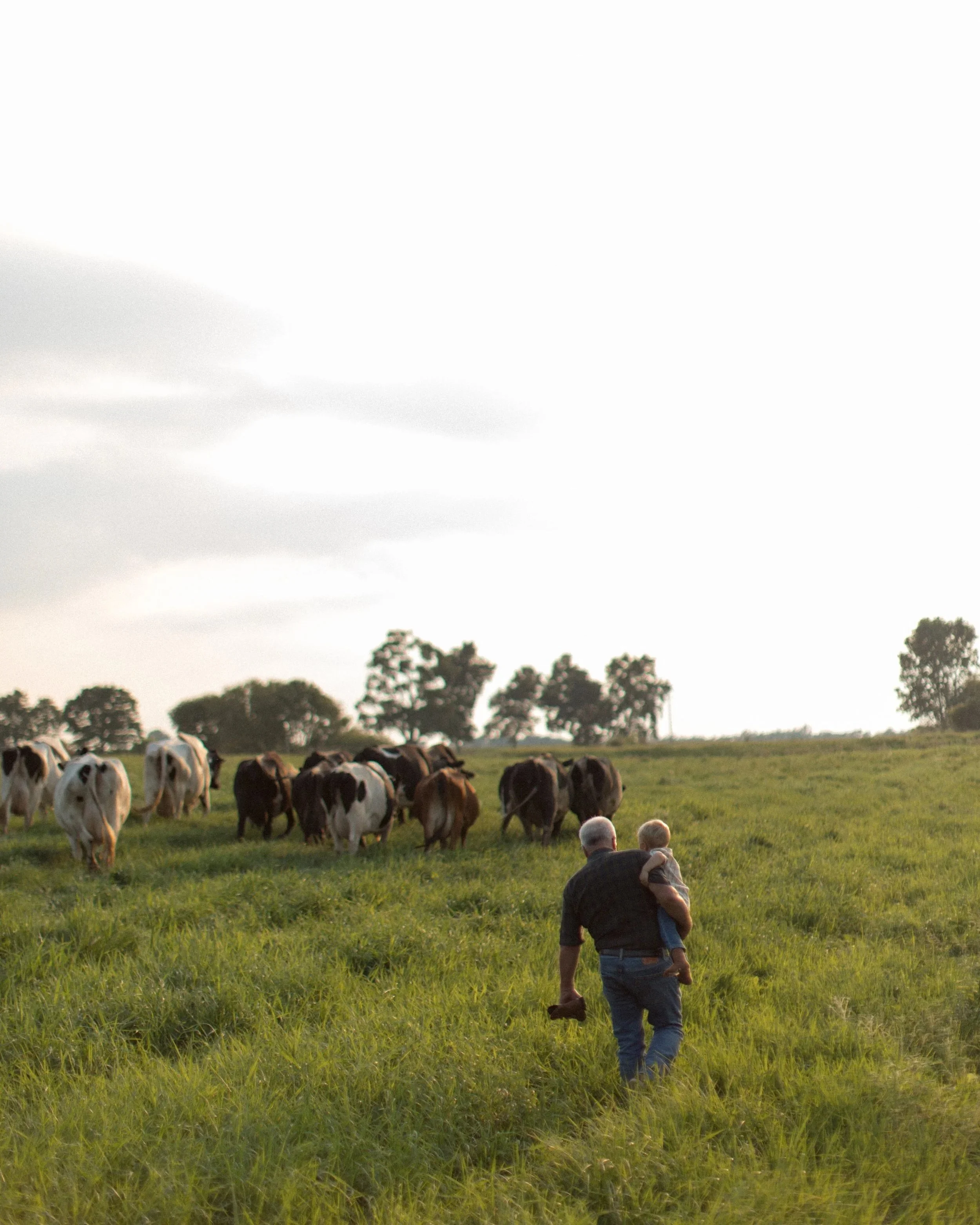 The Cult of Crunch: Breaking Down the Good, The Bad, and the Biblical (or not) of Natural Living Part 2: History of the Crunchy movement