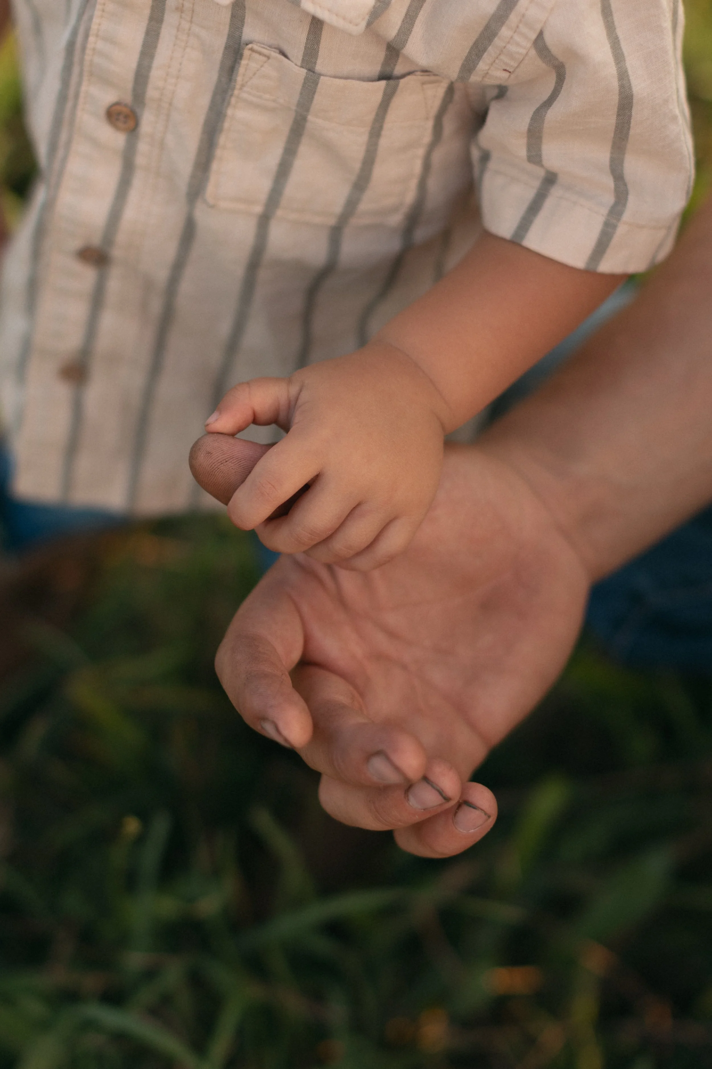 The Cult of Crunch: Breaking Down the Good, the Bad, and the Biblical (or not) of Natural Living Part 8: Applied Kinesiology