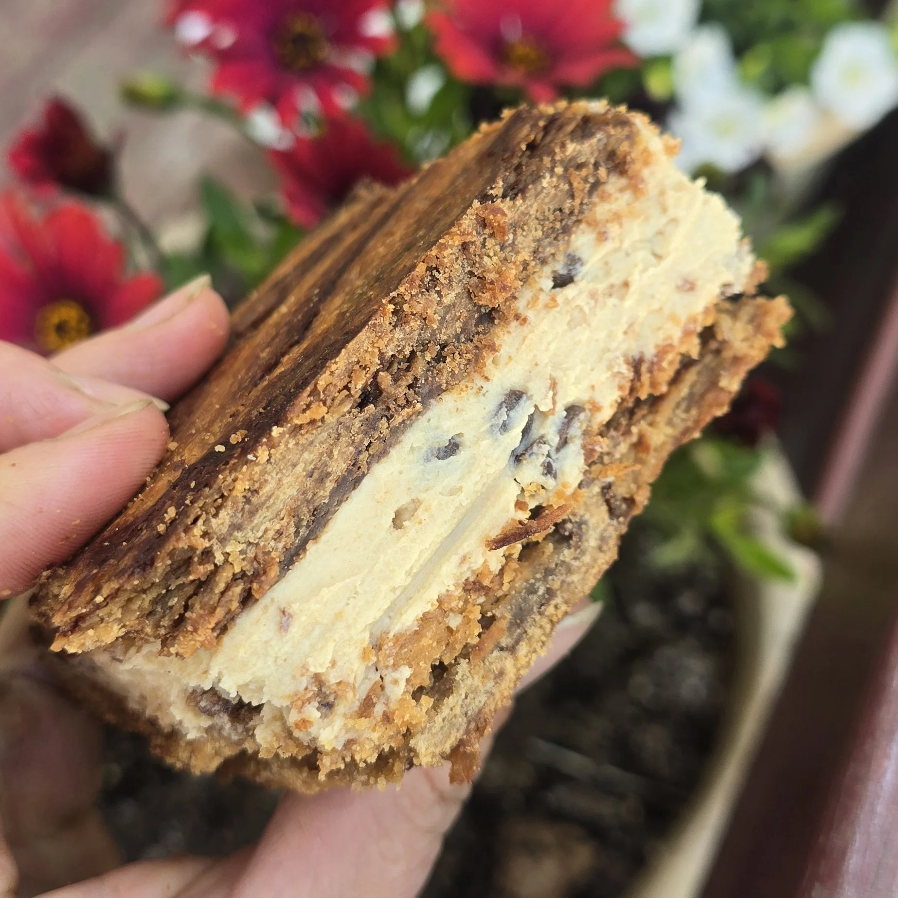 Peanut butter chocolate chip frozen yogurt sandwich