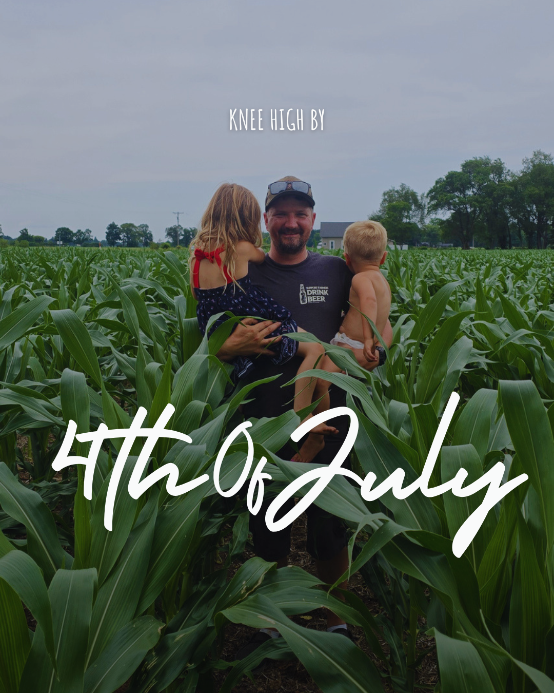 Corn fed Country Girls: Why our dairy cows eat corn