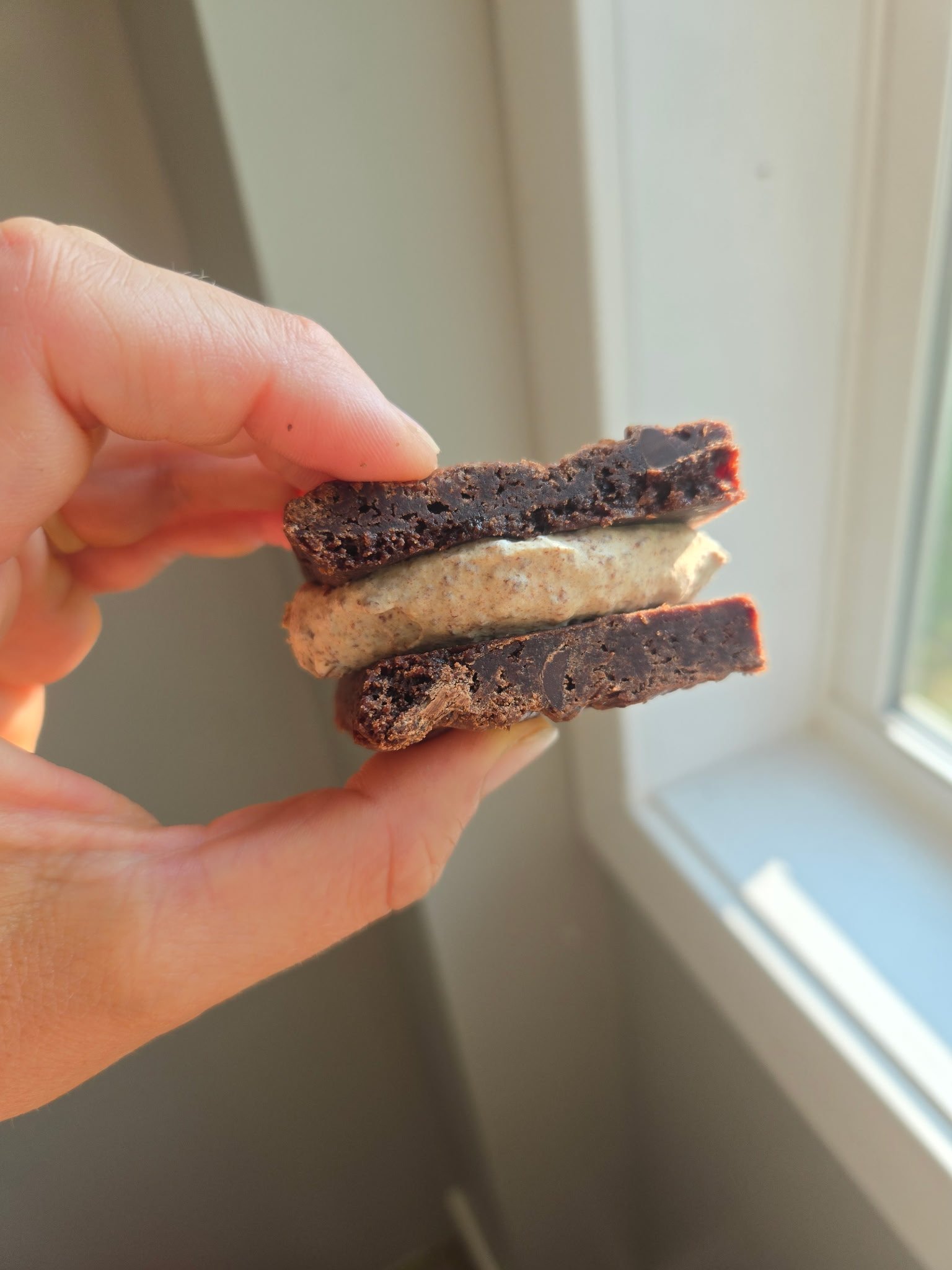 Sourdough Brownies